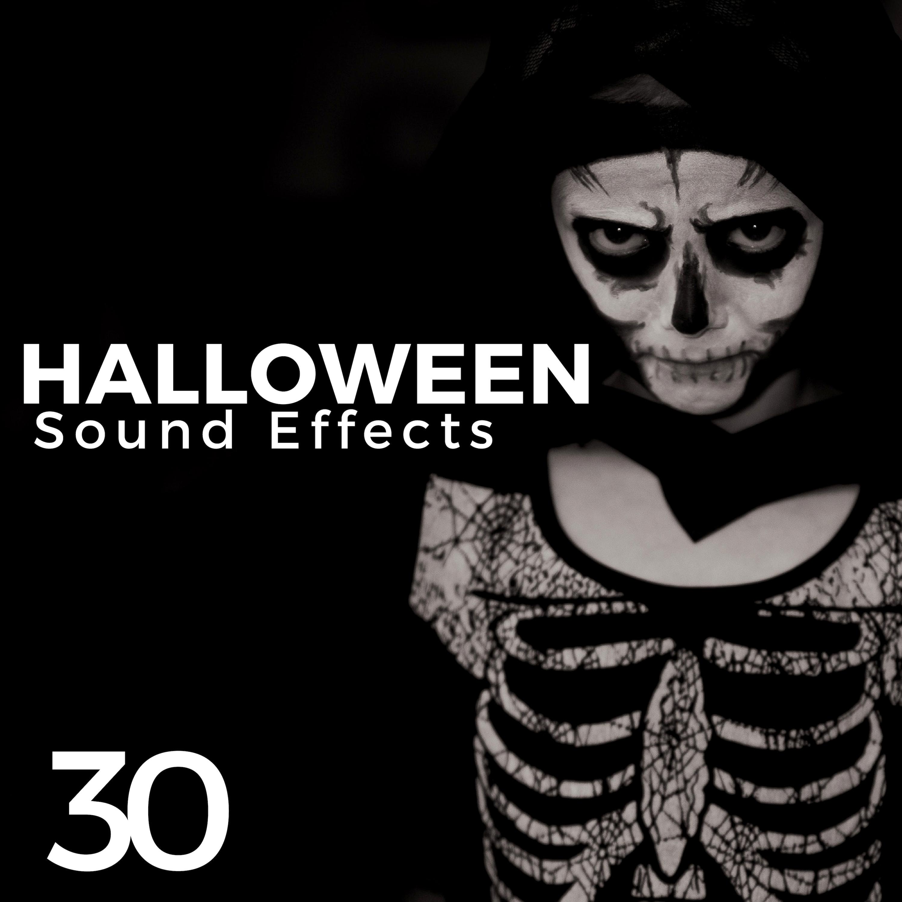 Halloween Sound Effects