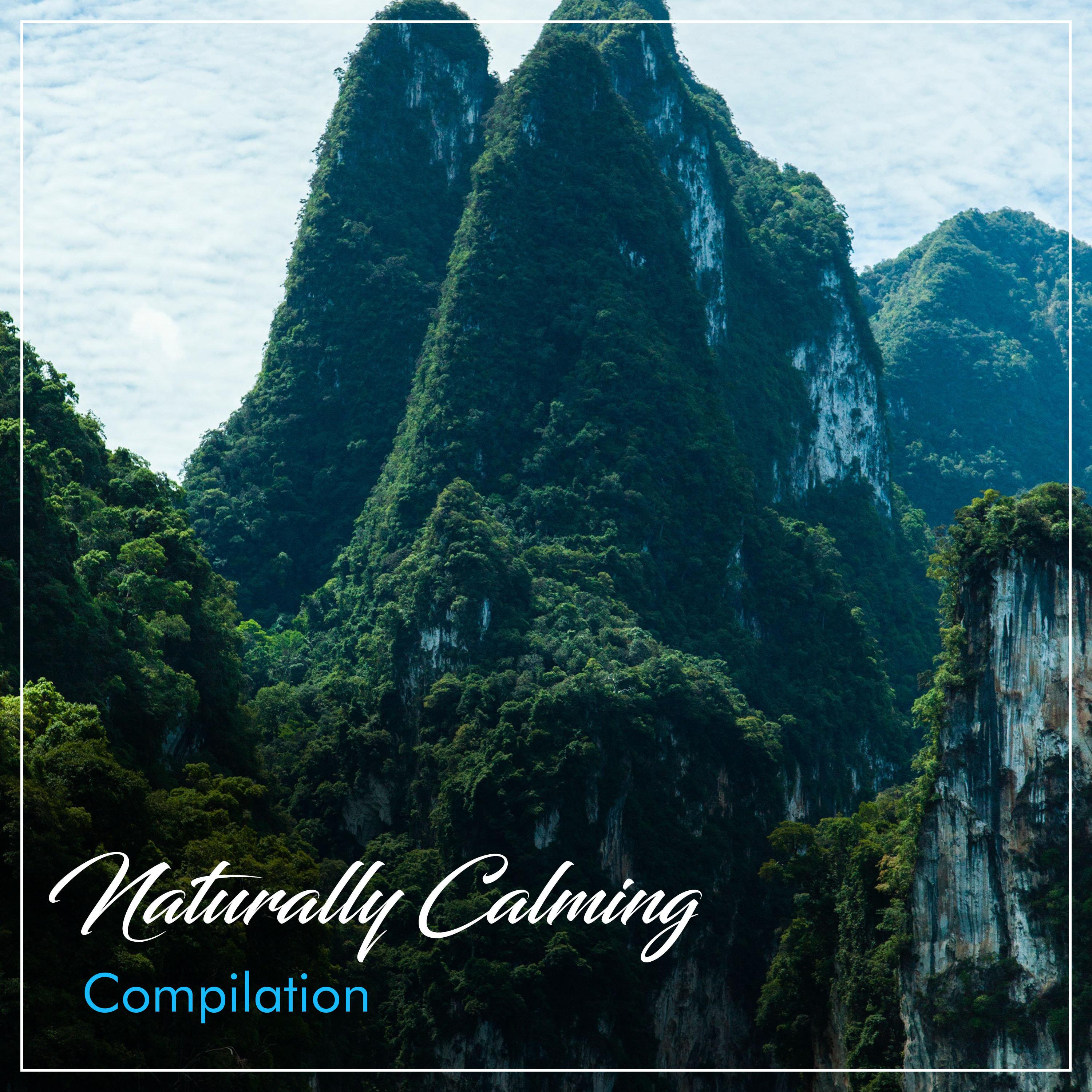 #16 Naturally Calming Compilation for Asian Spa, Meditation & Yoga