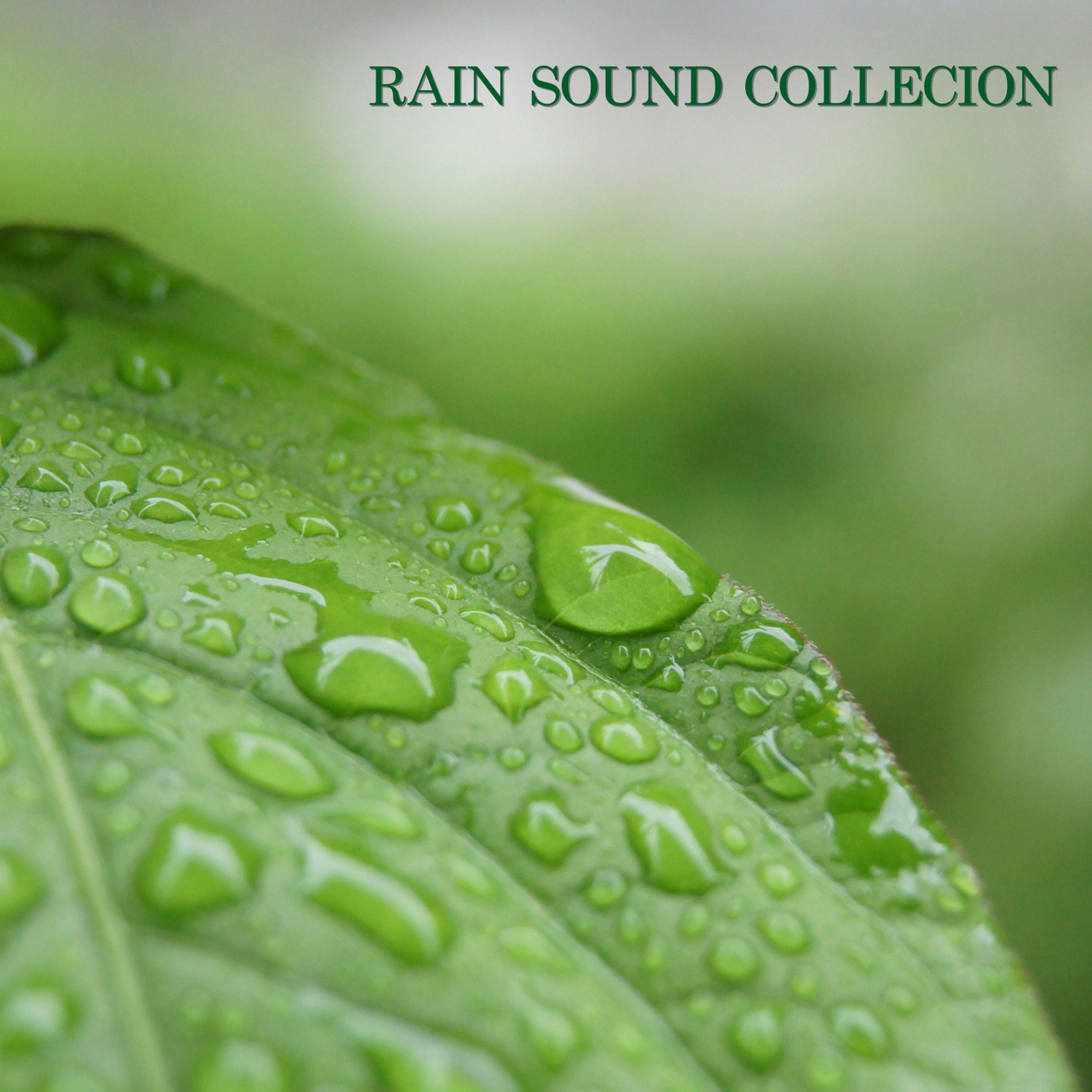 Rain Sound Collection