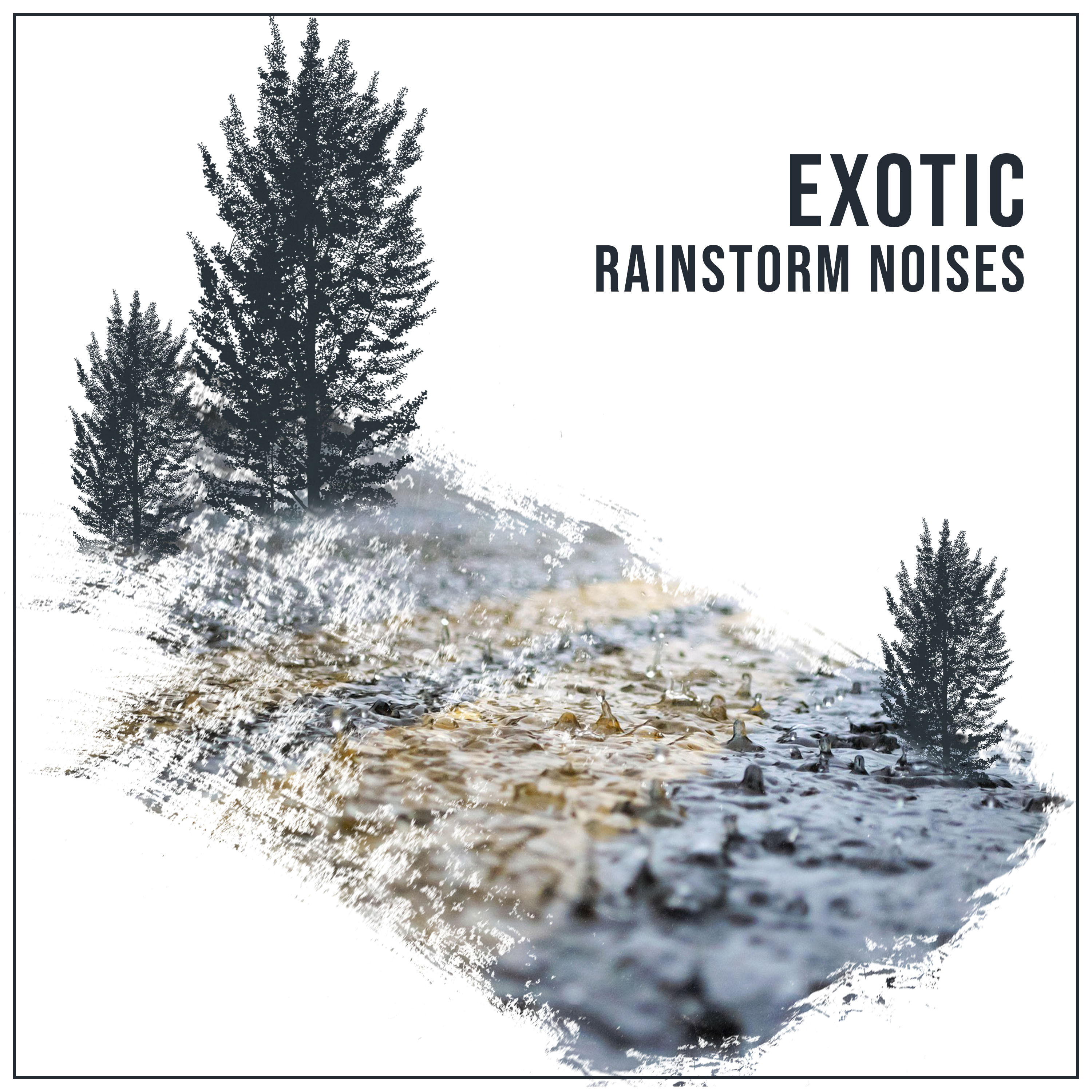#18 Exotic Rainstorm Noises for Relaxation and Ambience
