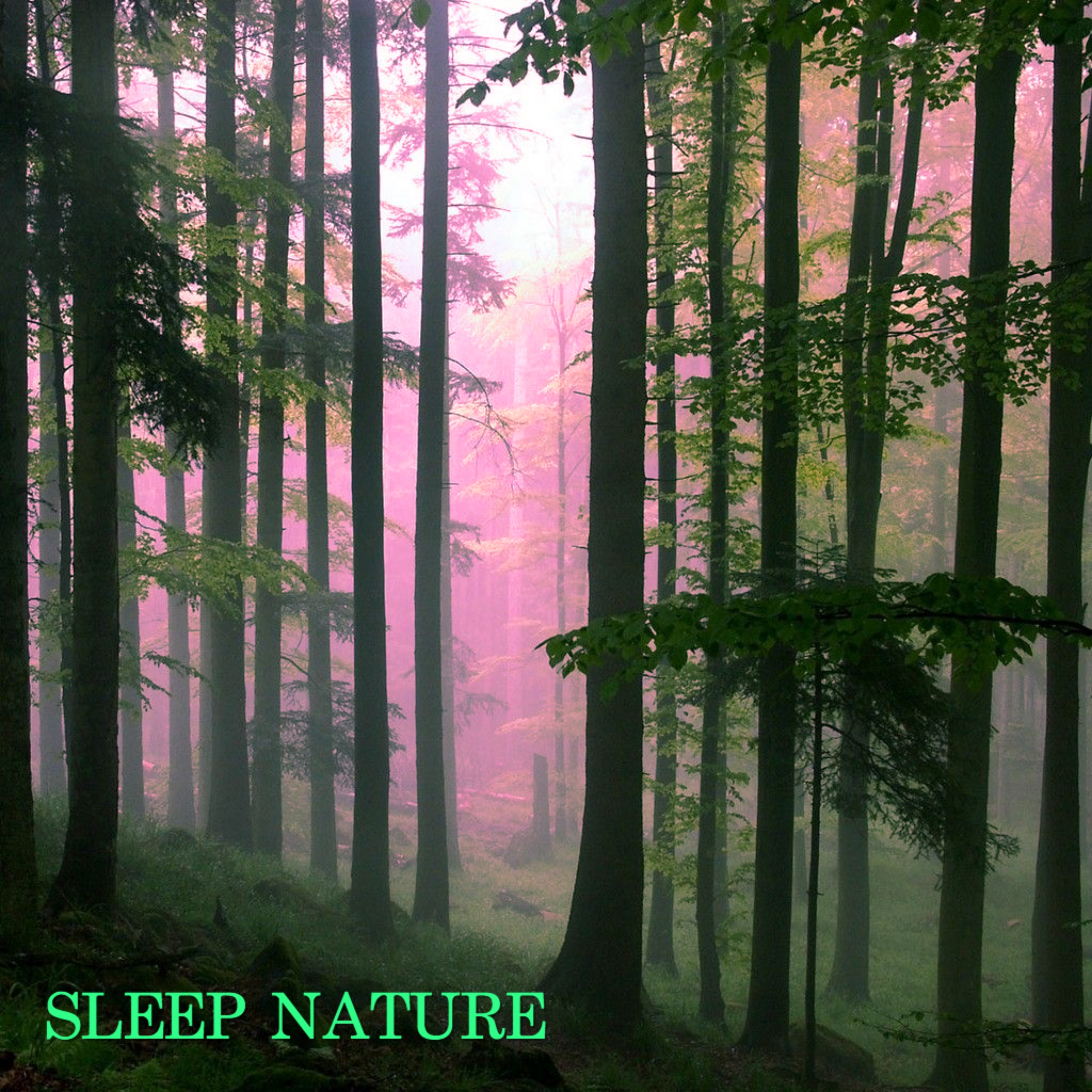 Sleep Nature