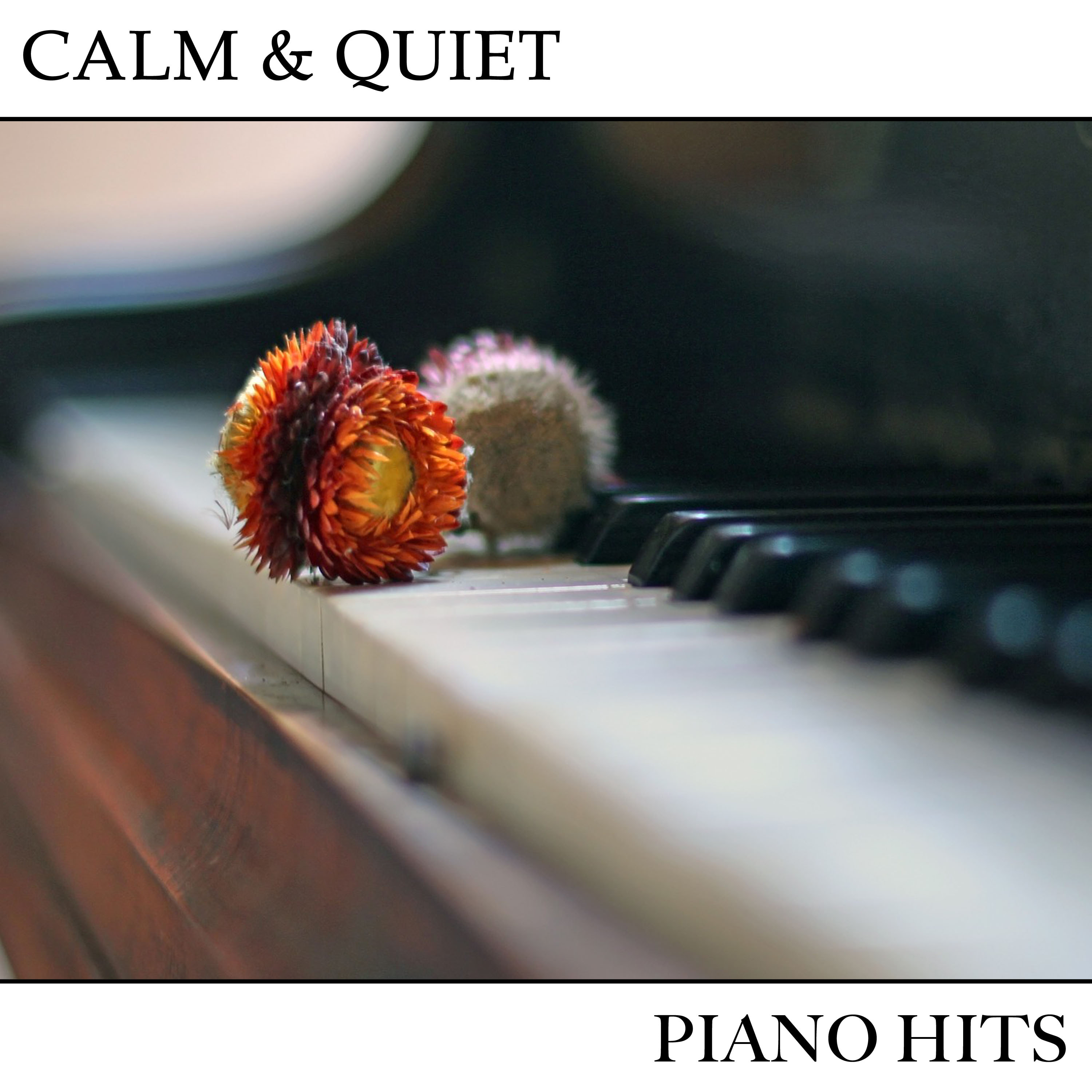 #12 Calm & Quiet Piano Hits