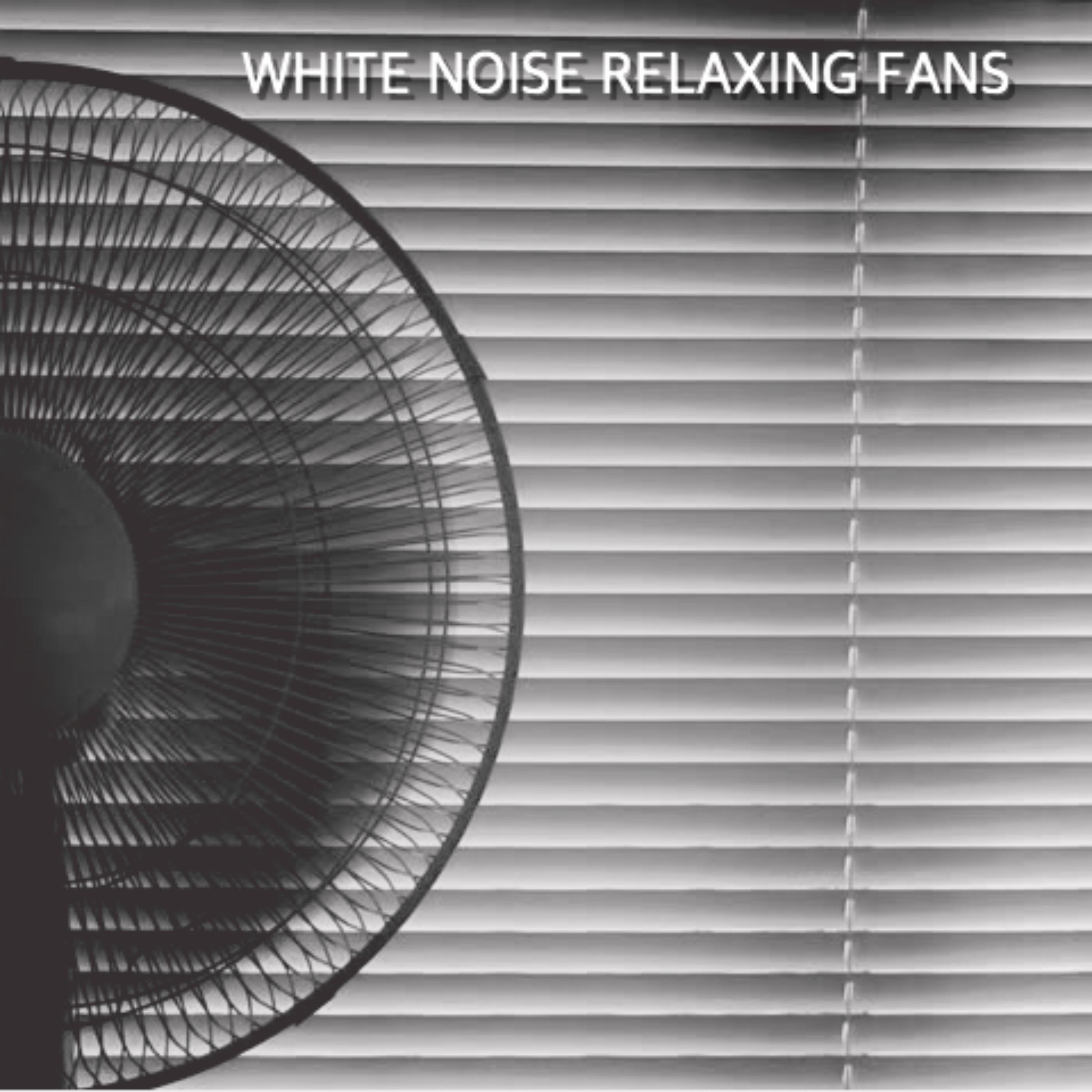 Low Oscillating Fan