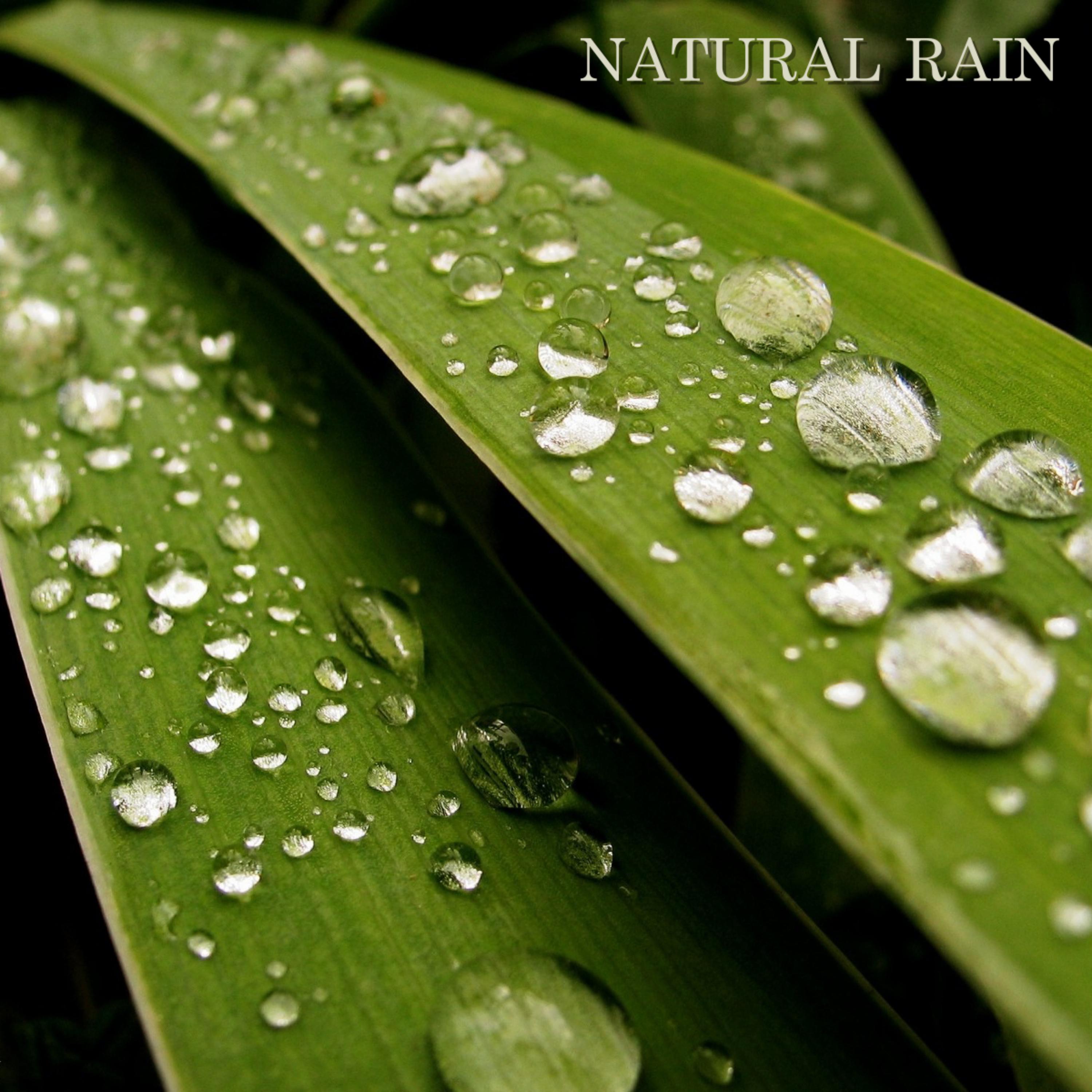 Natural Rain