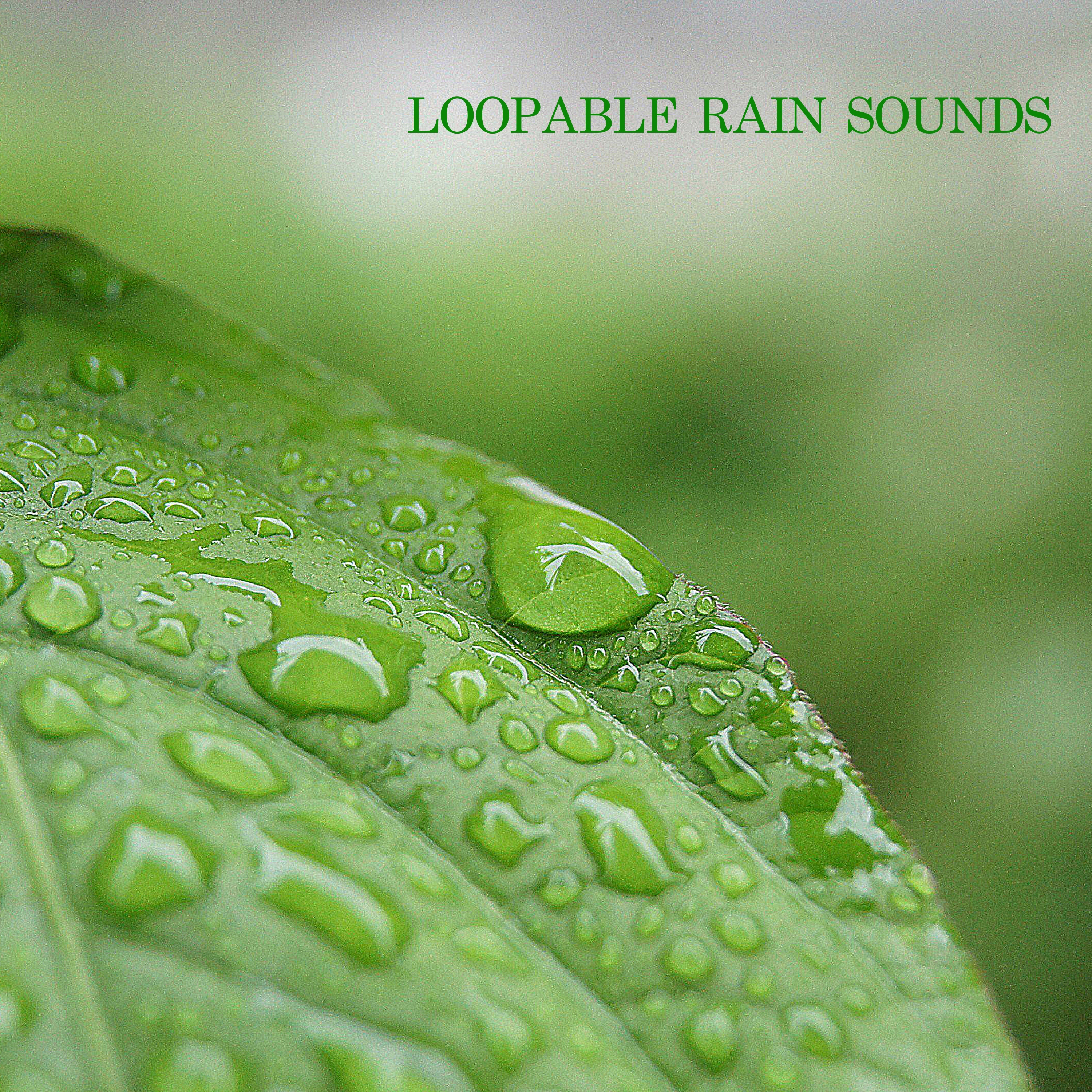 Loopable Rain
