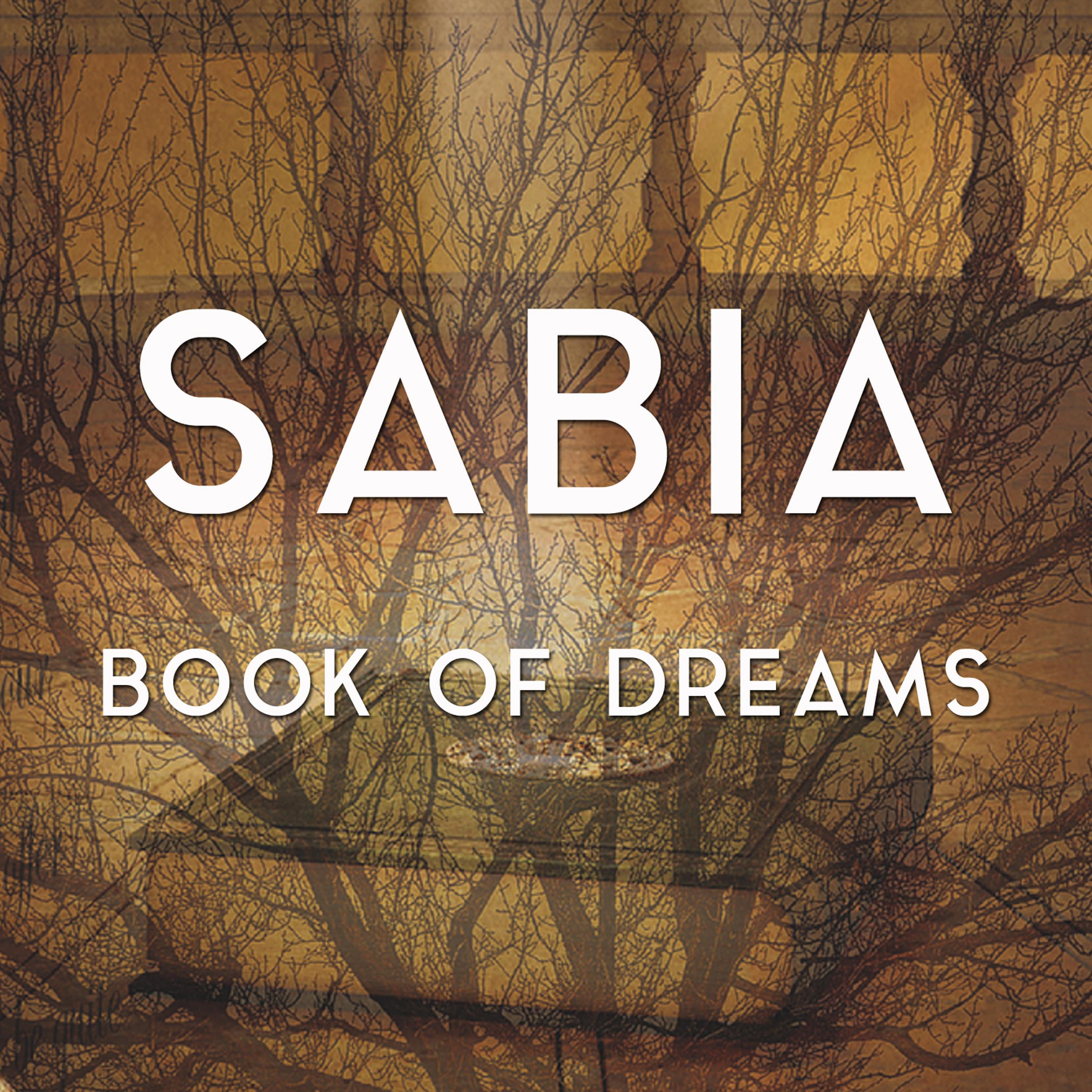 Book of Dreams