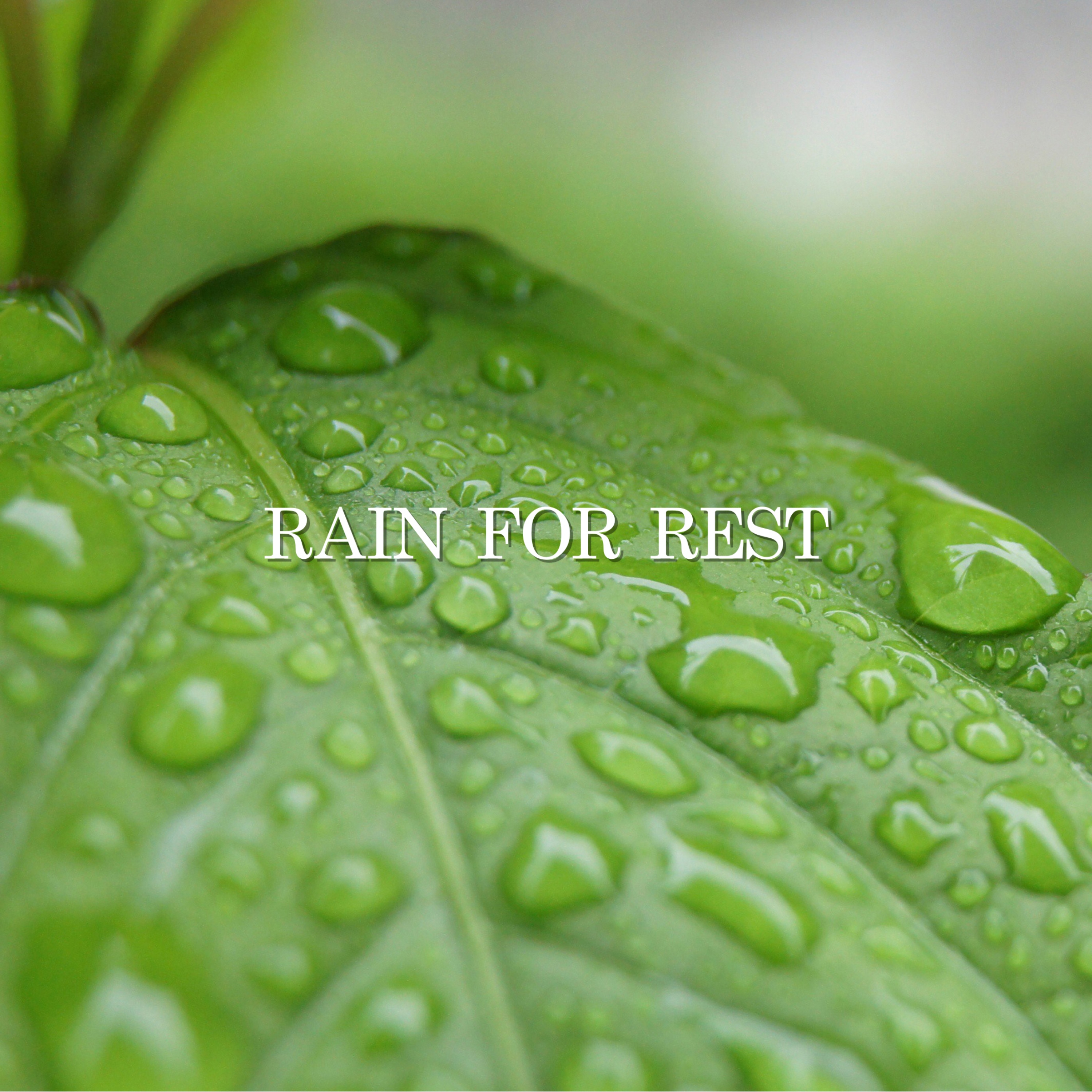 Rain for Rest