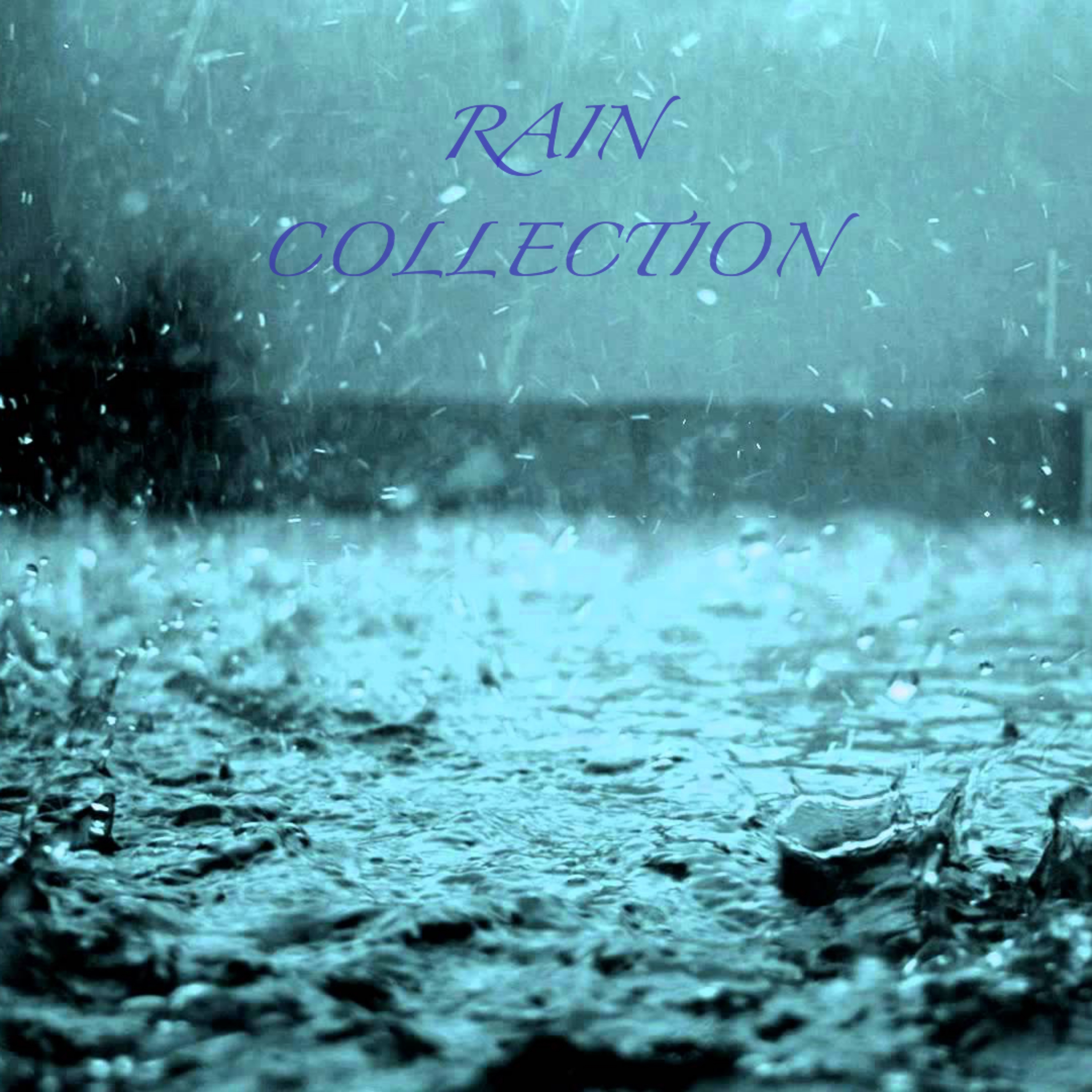 Rain Collection