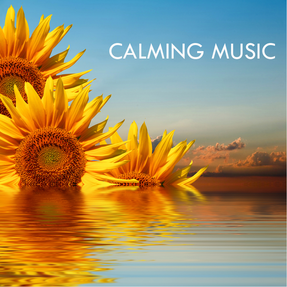 Serenity Healing Music Calming Songs