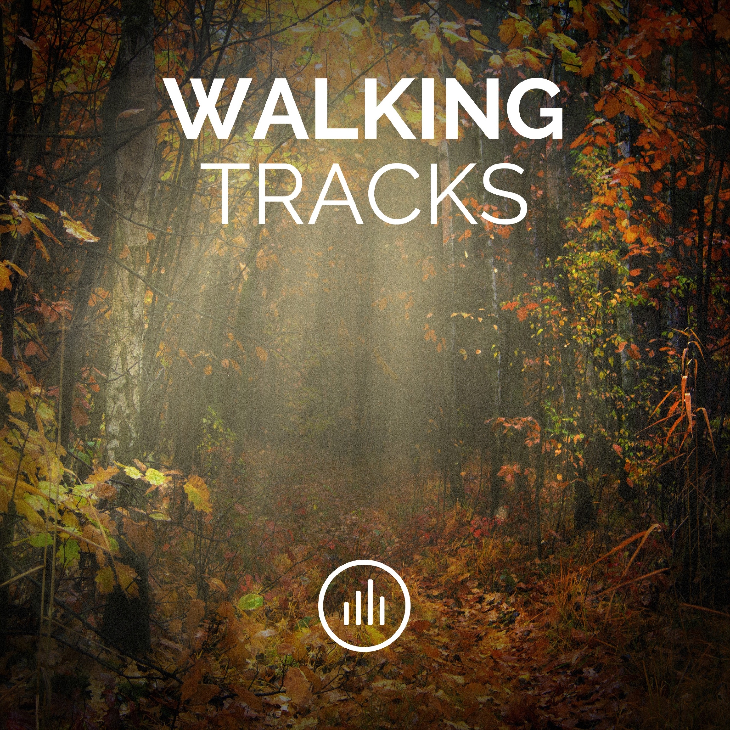 Walking Tracks