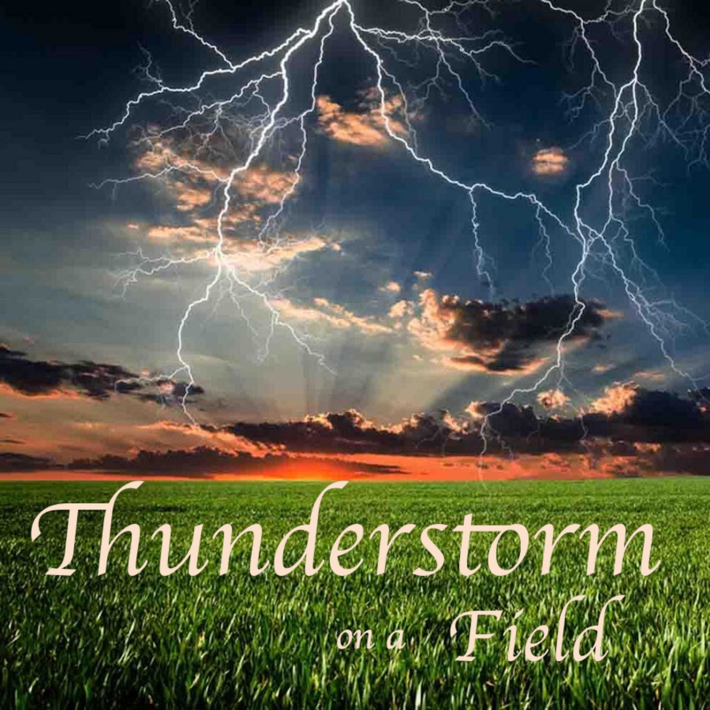 Thunderstorm on a Field