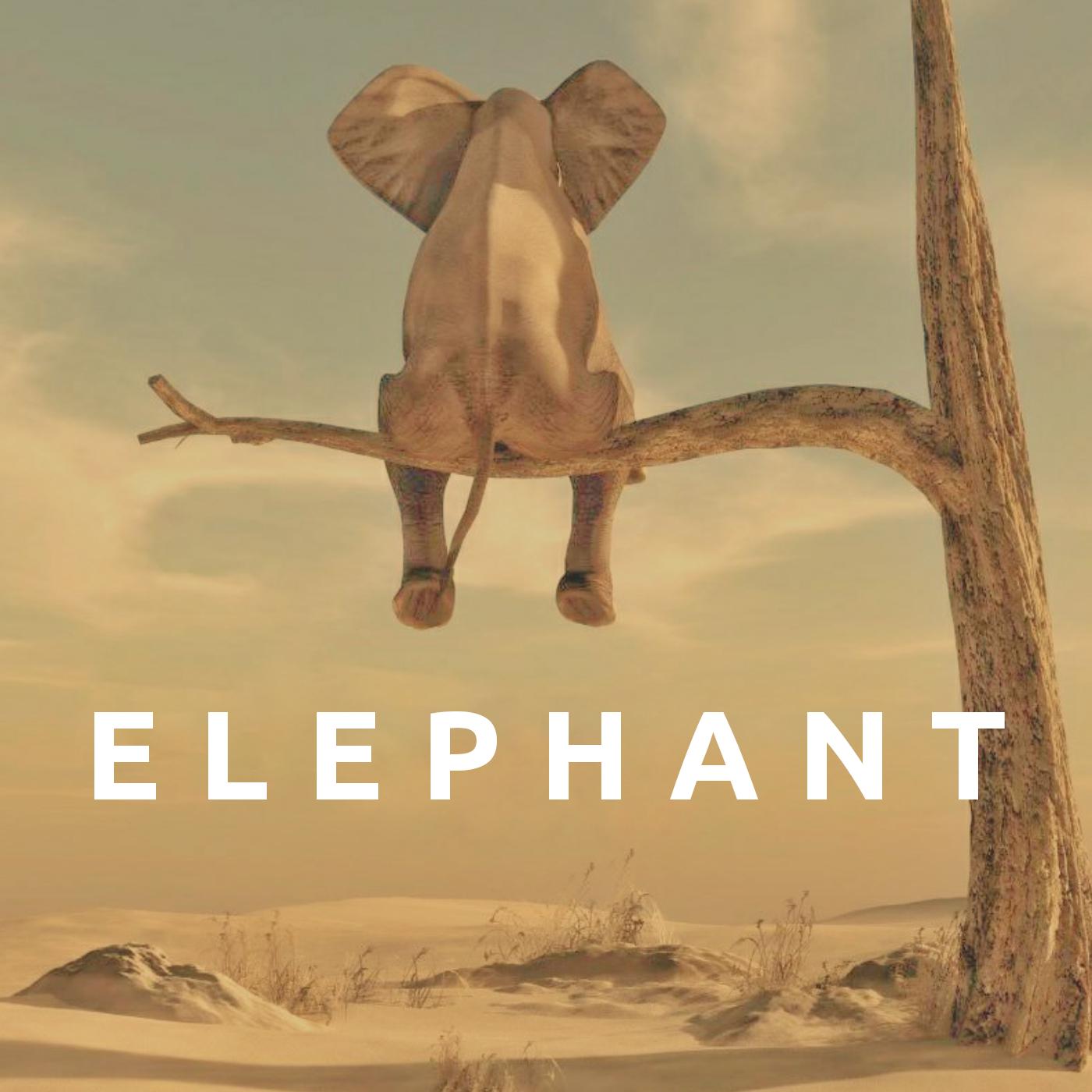 Elephant (Original Mix)