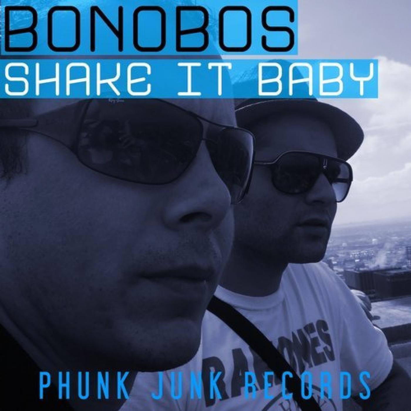 Shake It Baby (Norm Vork Remix)