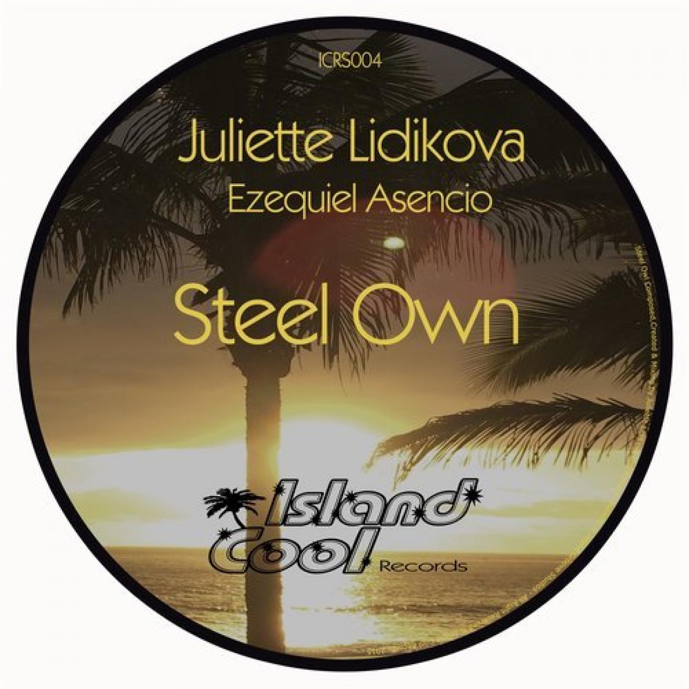 Steel Own (Original Mix)