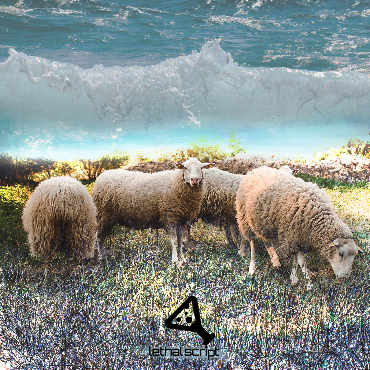 Sinking Sheep (Original Mix)