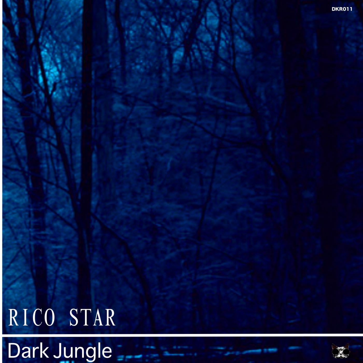 Dark Jungle (Original Mix)