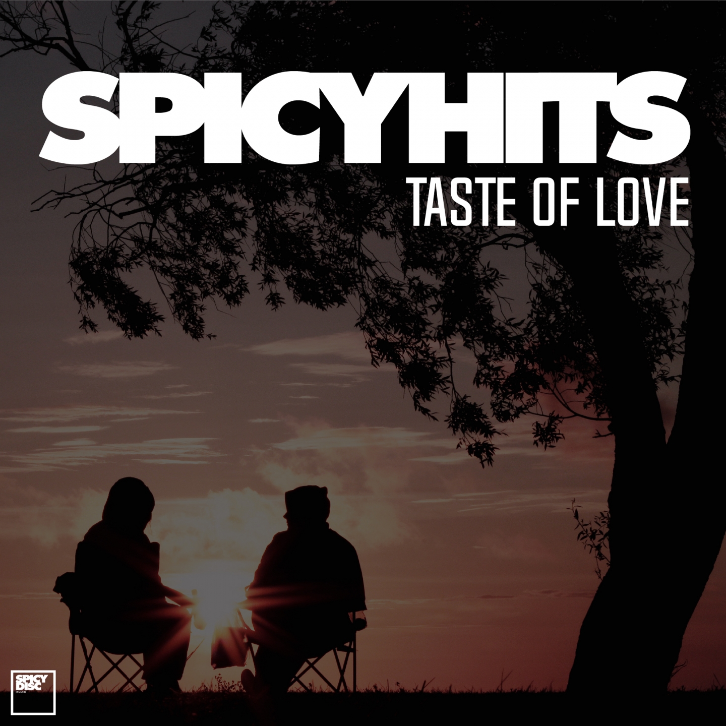 Spicyhits - Taste of Love