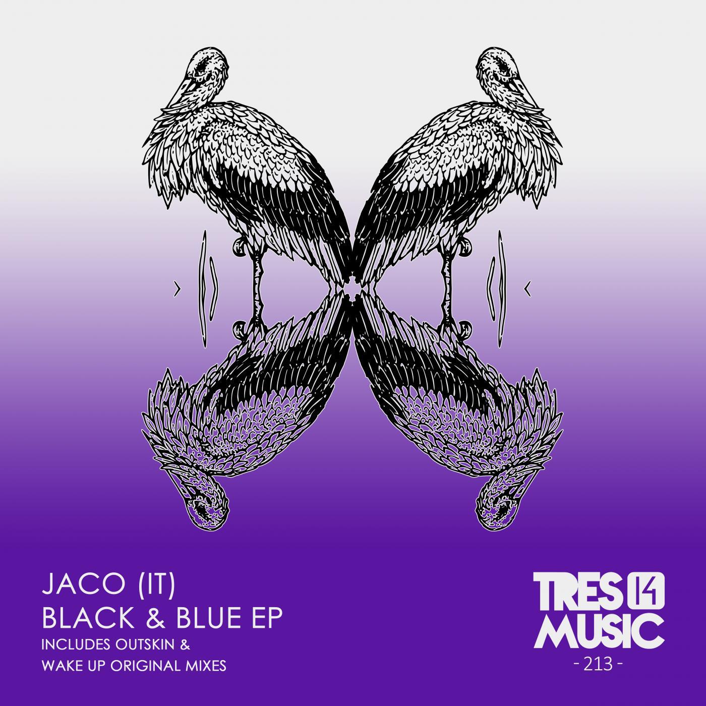 Black & Blue (Original Mix)