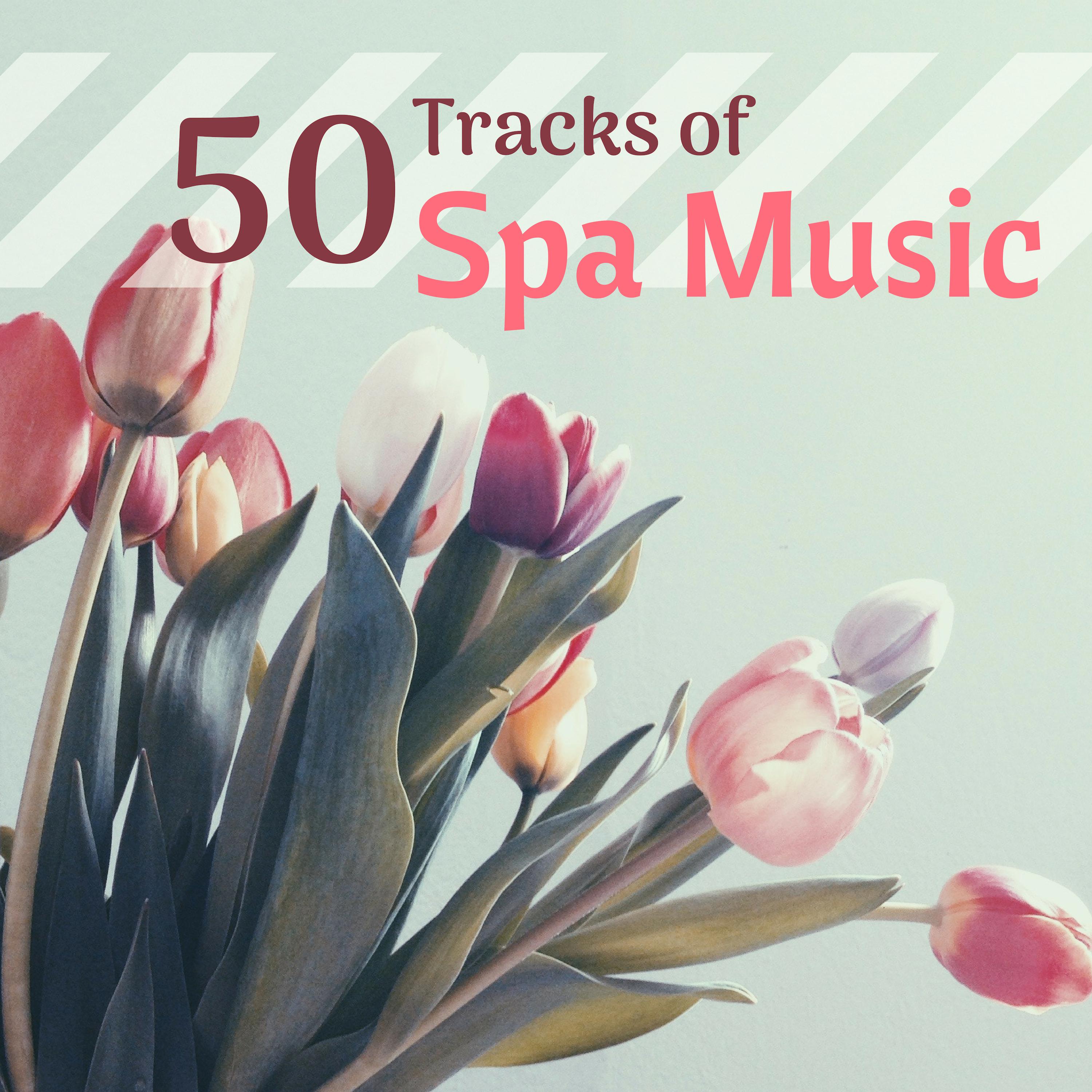 50 Tracks of Spa Music - Collective Hotel & Wellness Songs