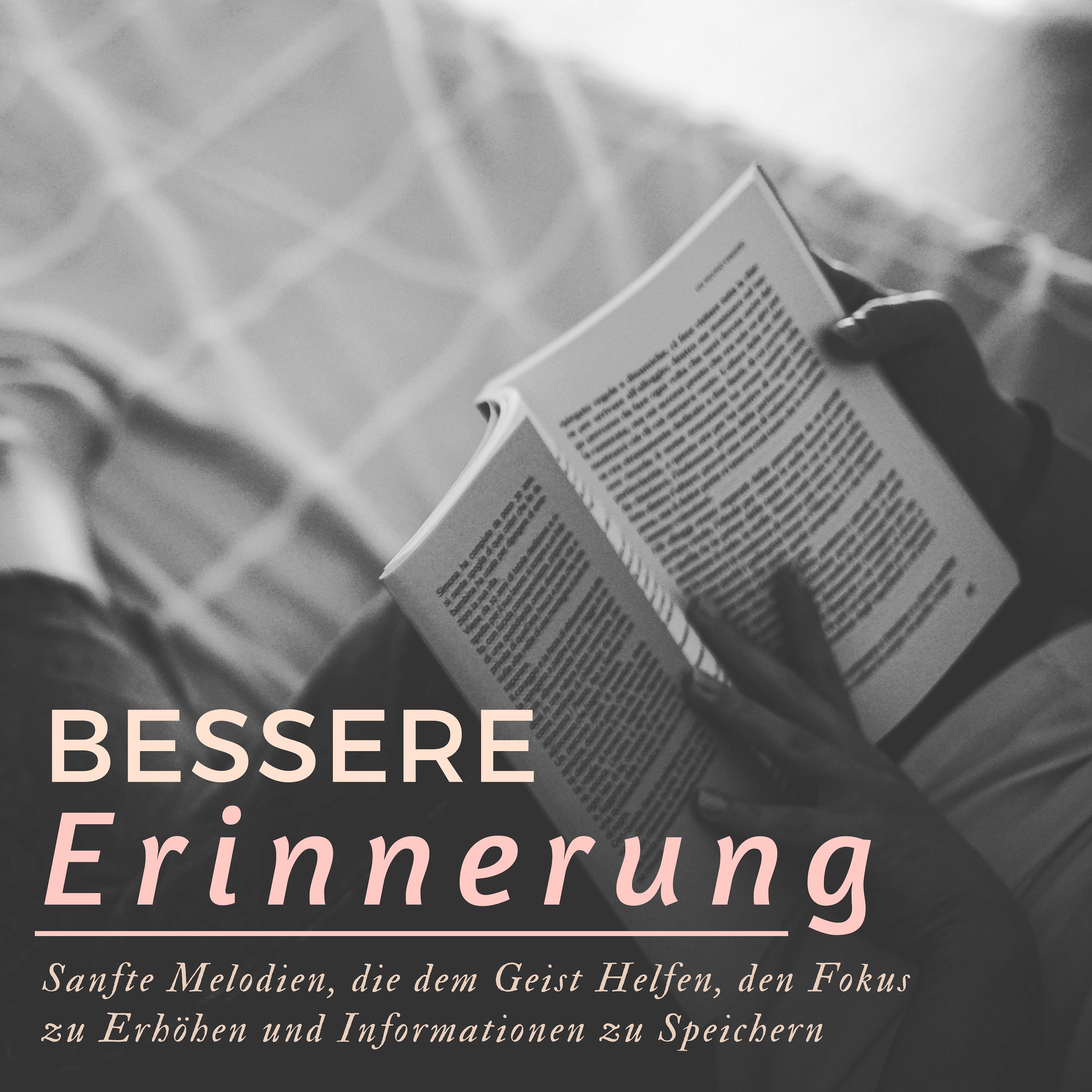 Unter den Büchern