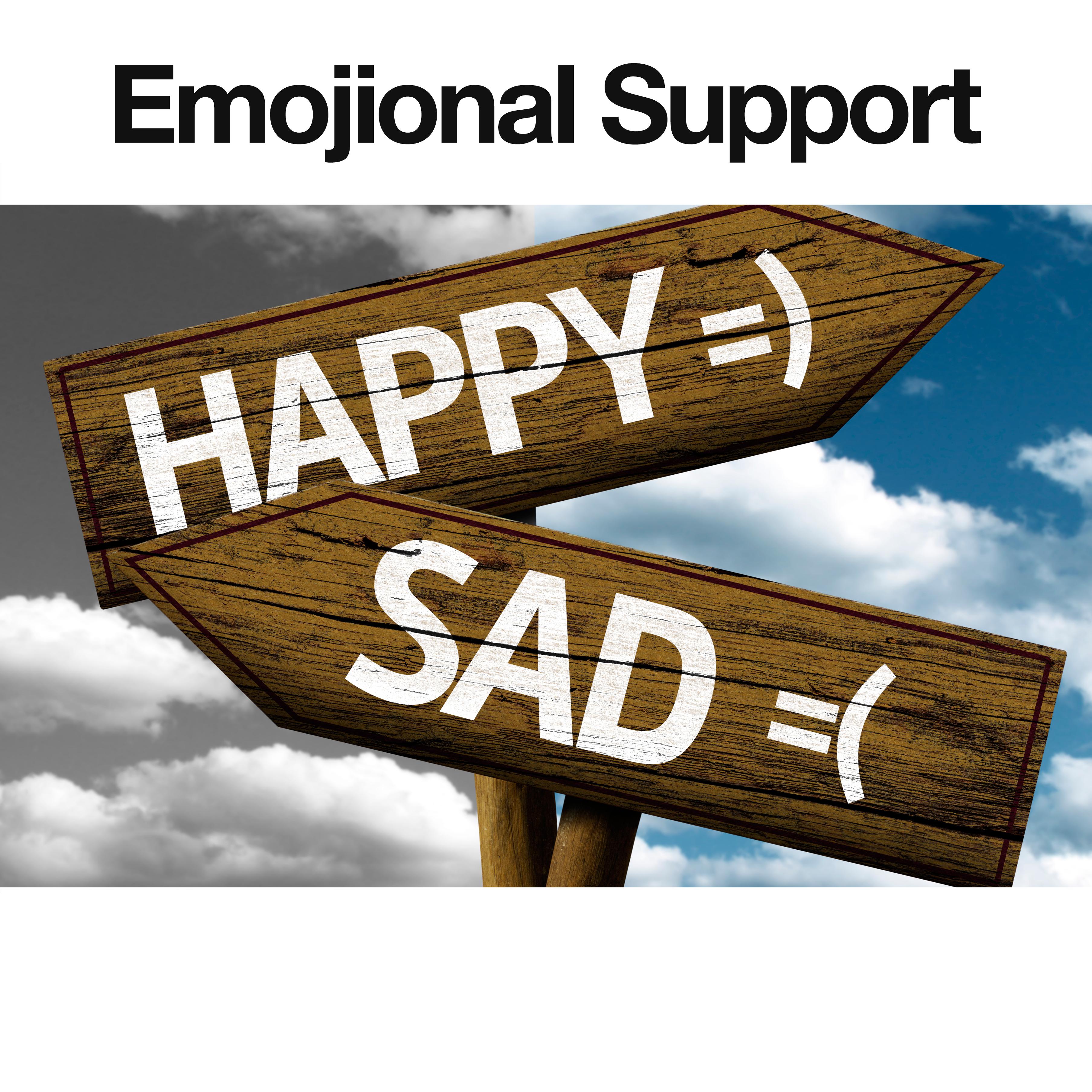 Emojional Support