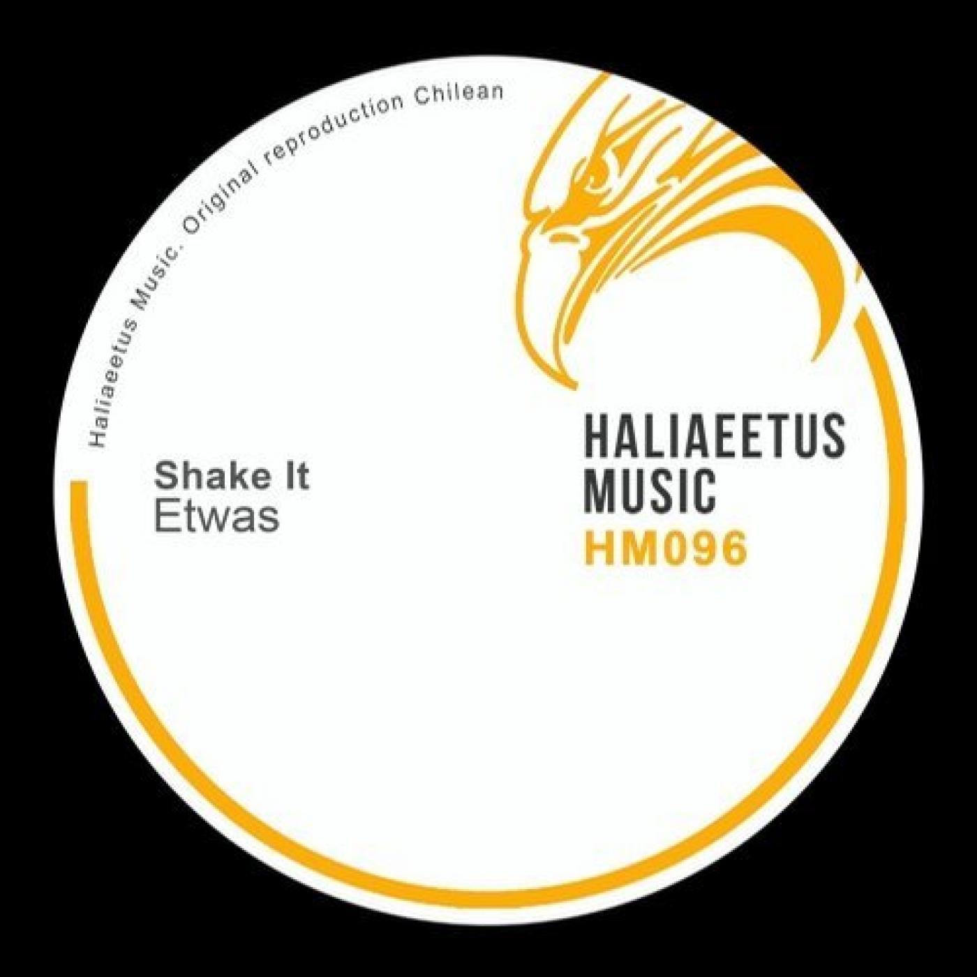 Shake It (Original Mix)