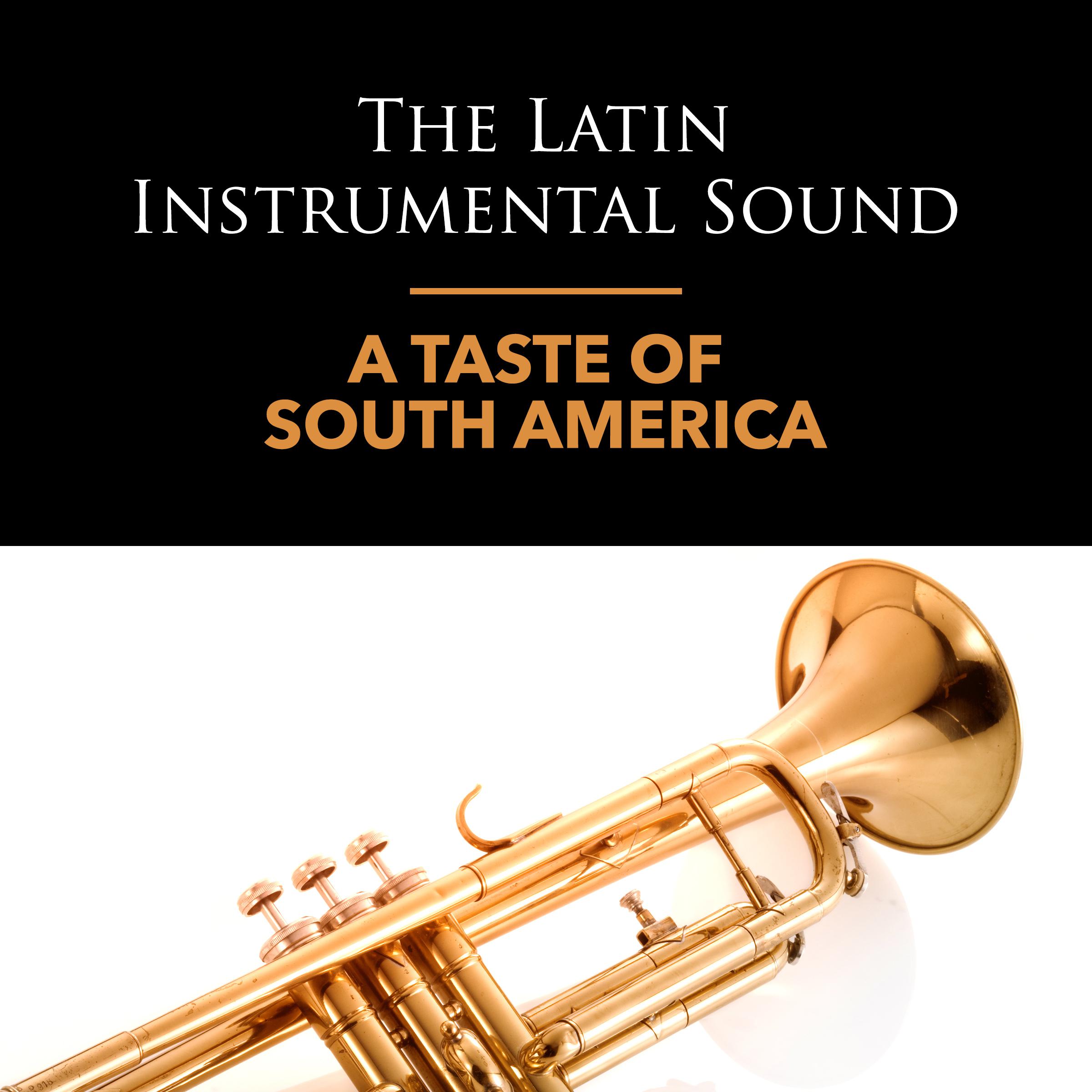 The Latin Instrumental Sound of