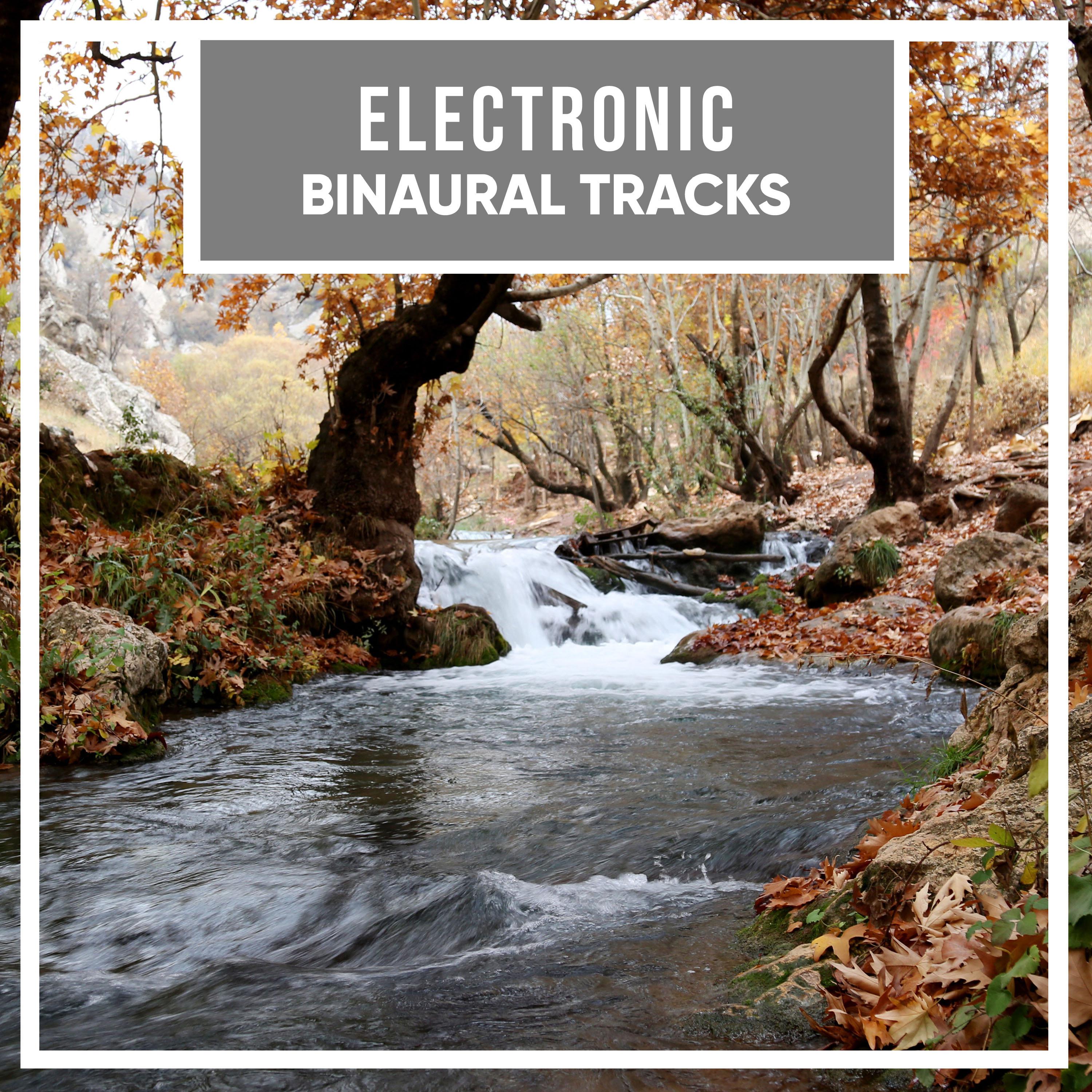#16 Electronic Binaural Tracks