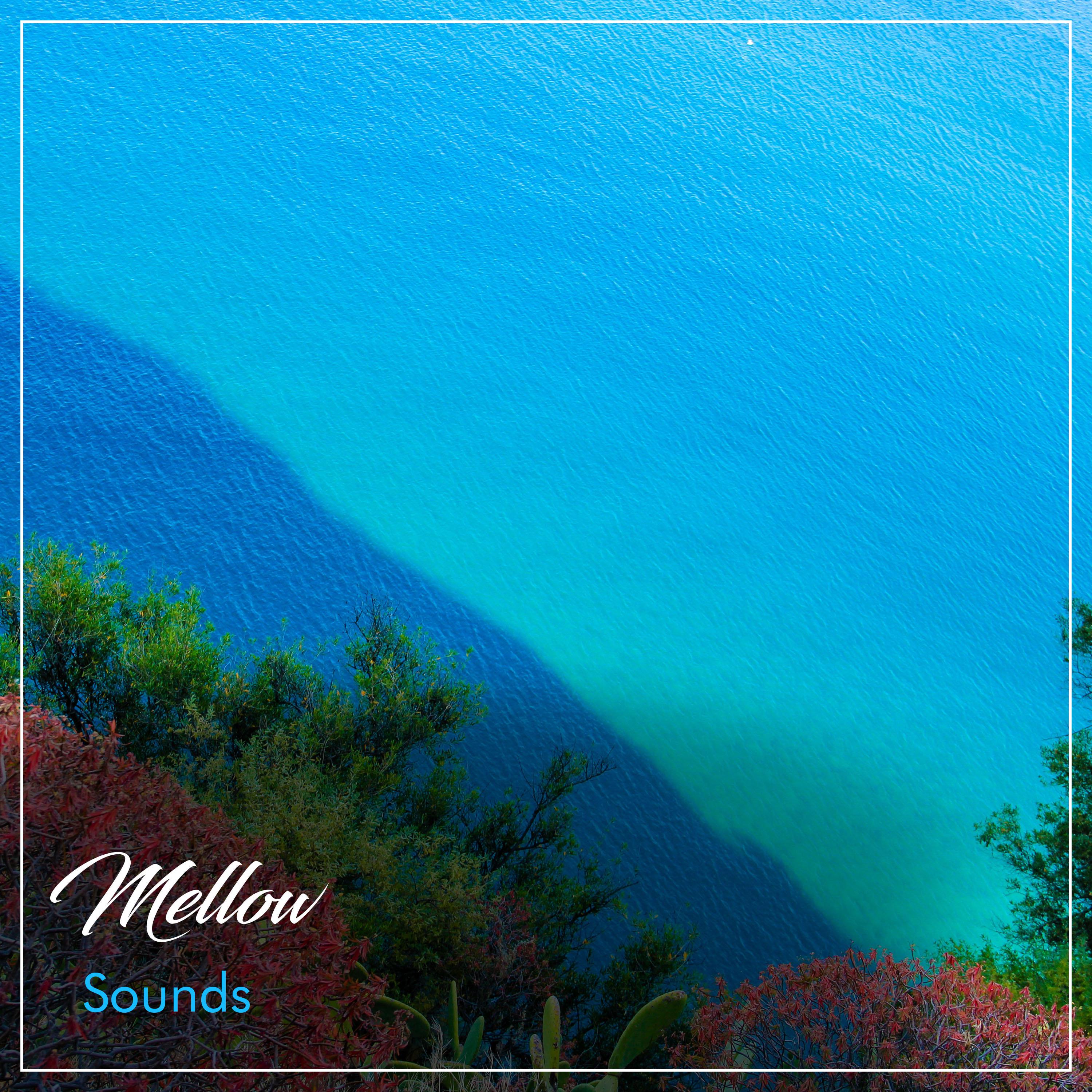 #17 Mellow Sounds for Sleep and Relaxation