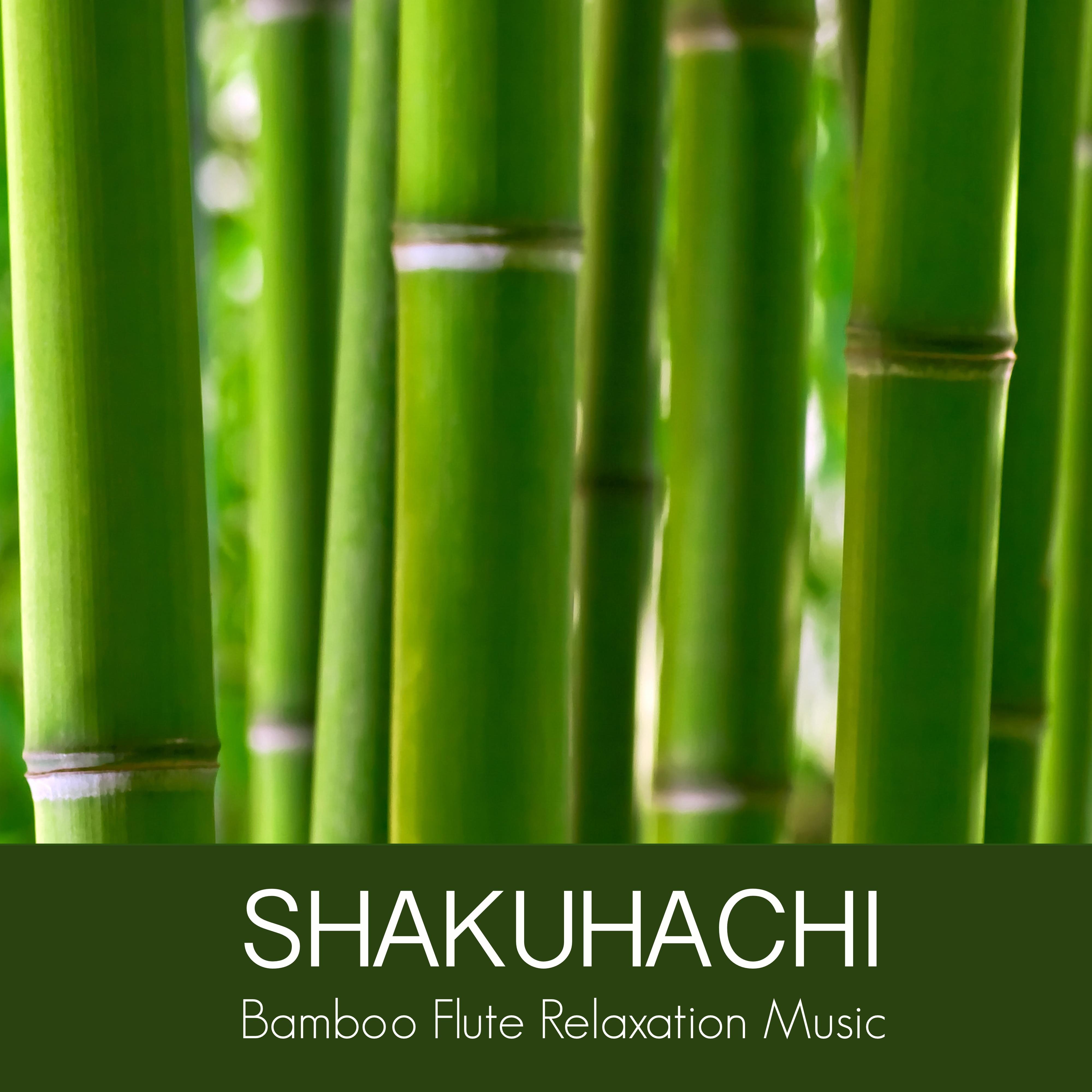 Flute Shakuhachi in Secret Garden