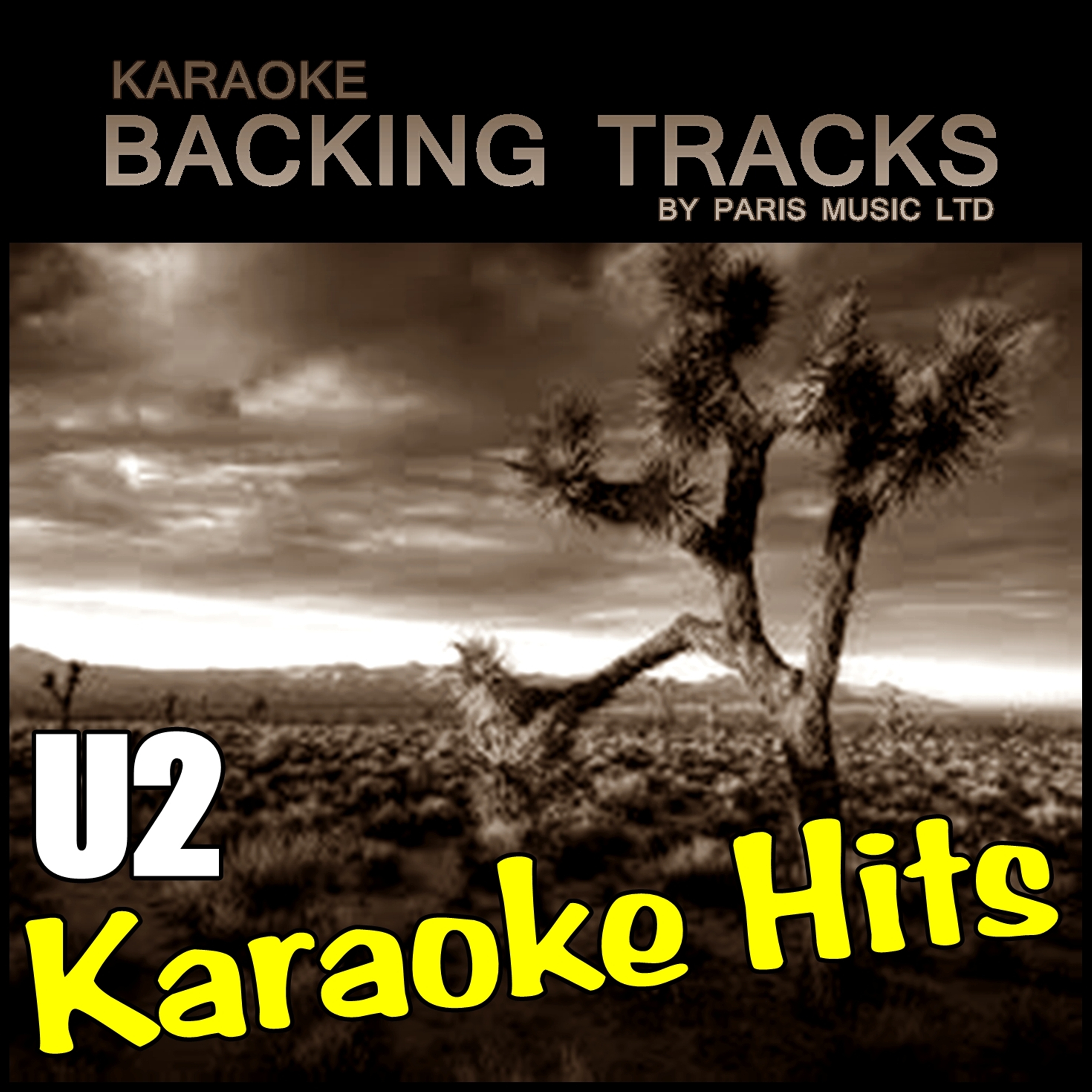 Pride (In the Name of Love) (Originally Performed By U2) [Karaoke Version]