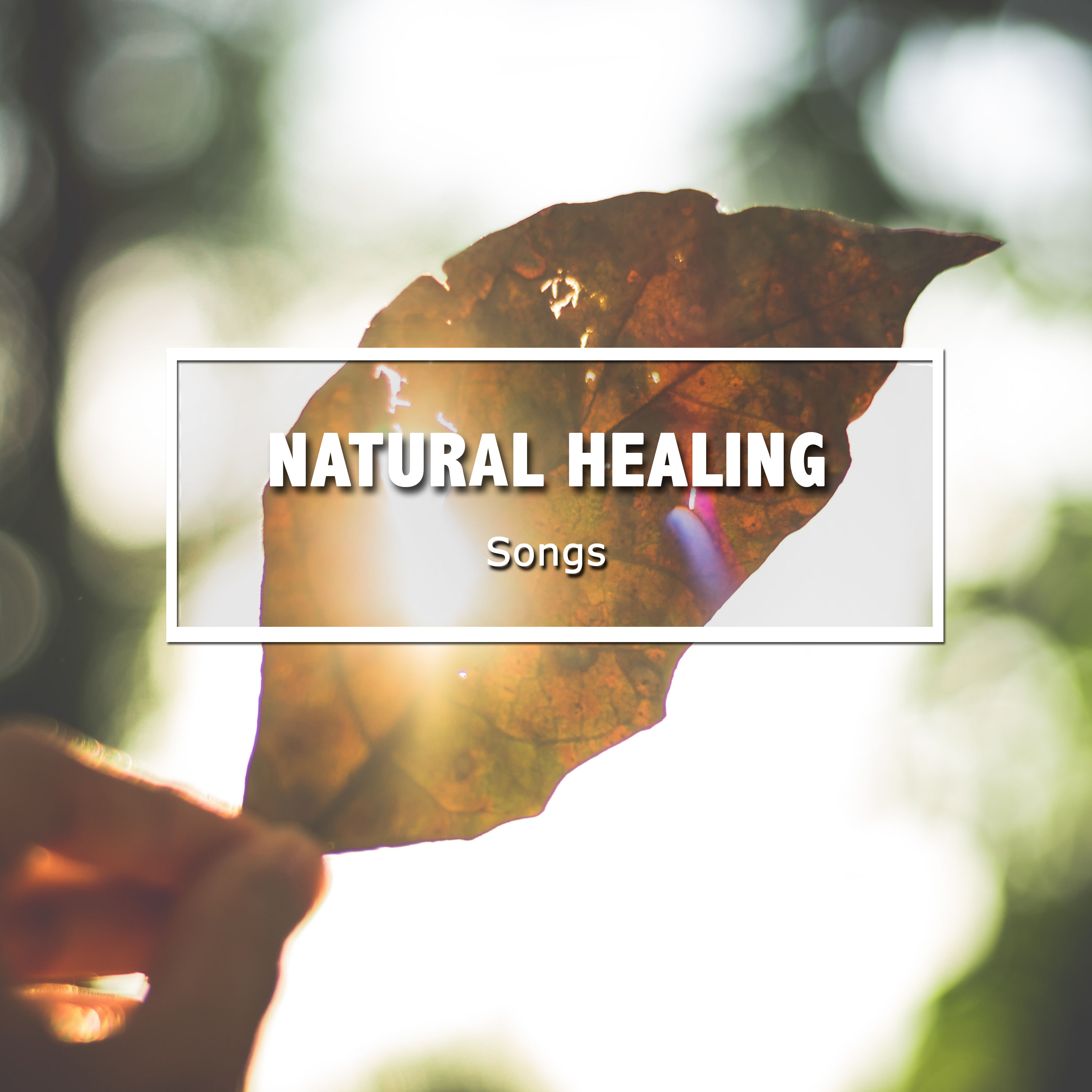 20 canções de cura natural para acalmar a mente