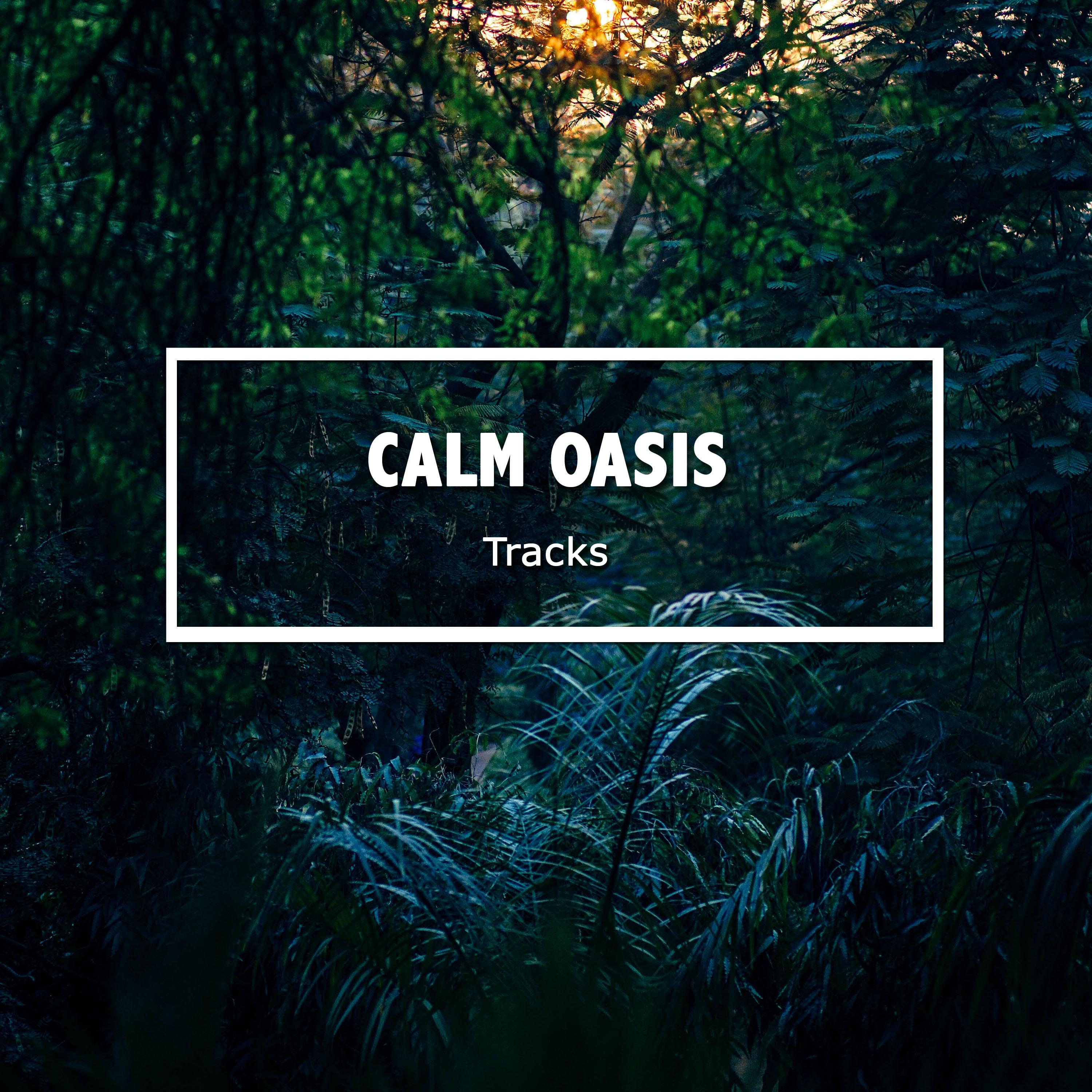 22 Calma Oasis Tracks para Terapia de Relaxamento