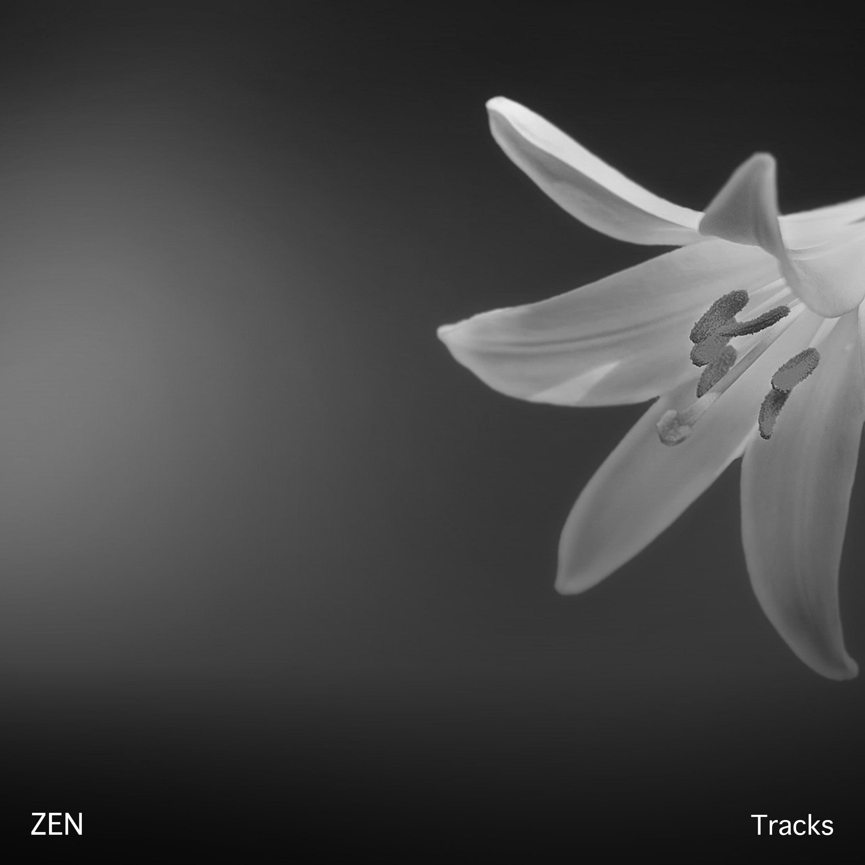 18 faixas Zen para limpar sua mente