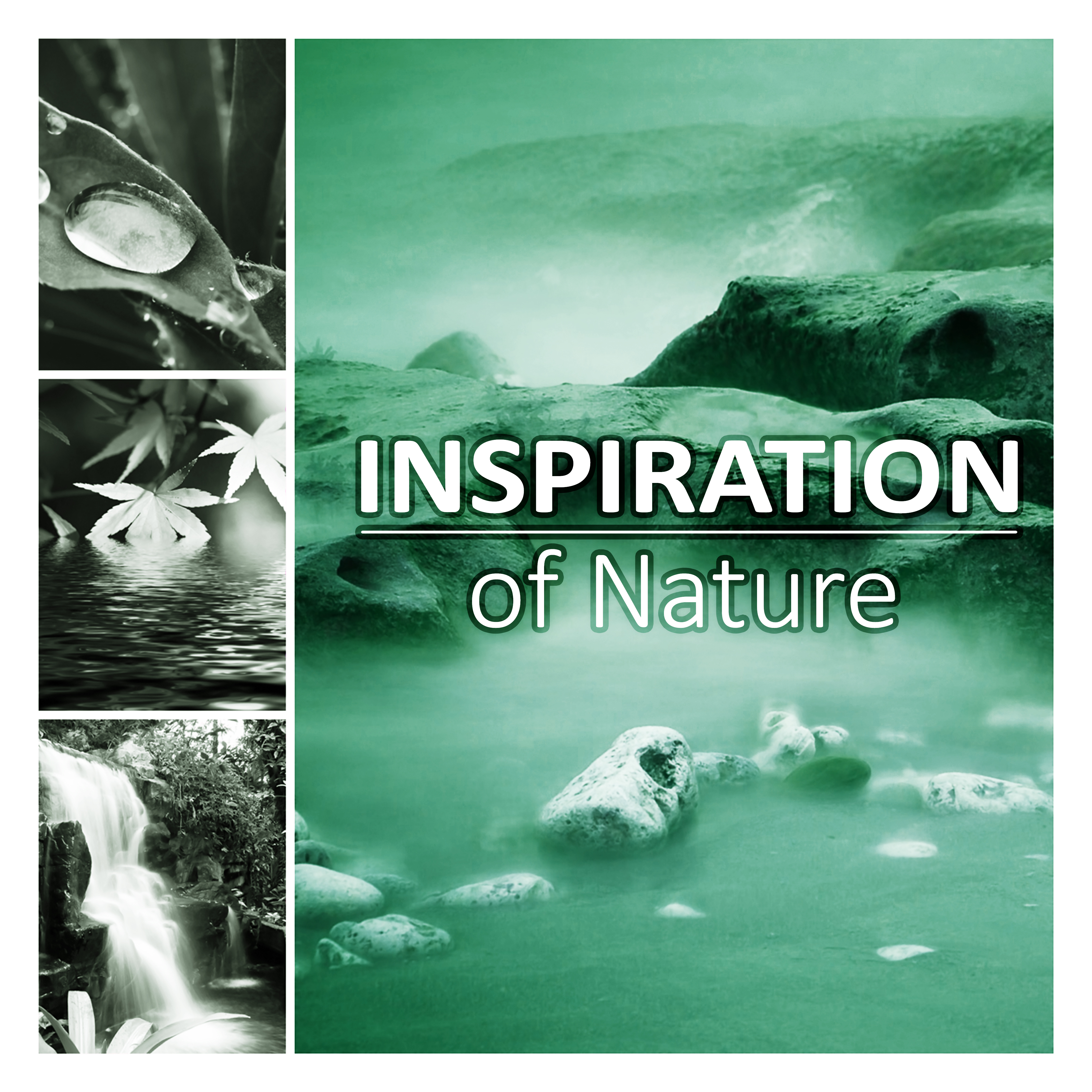 Inspiration of Nature