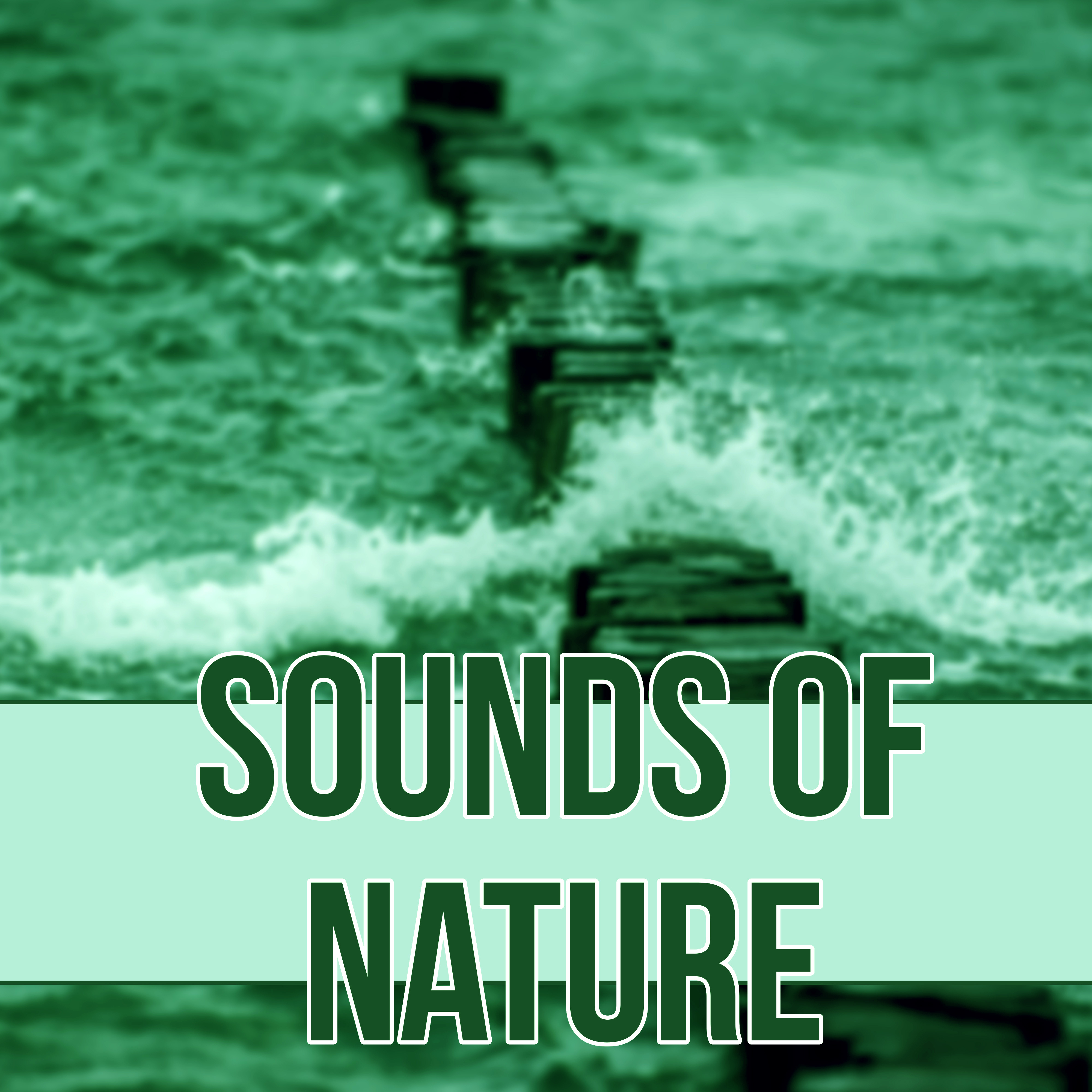 Sounds of Nature