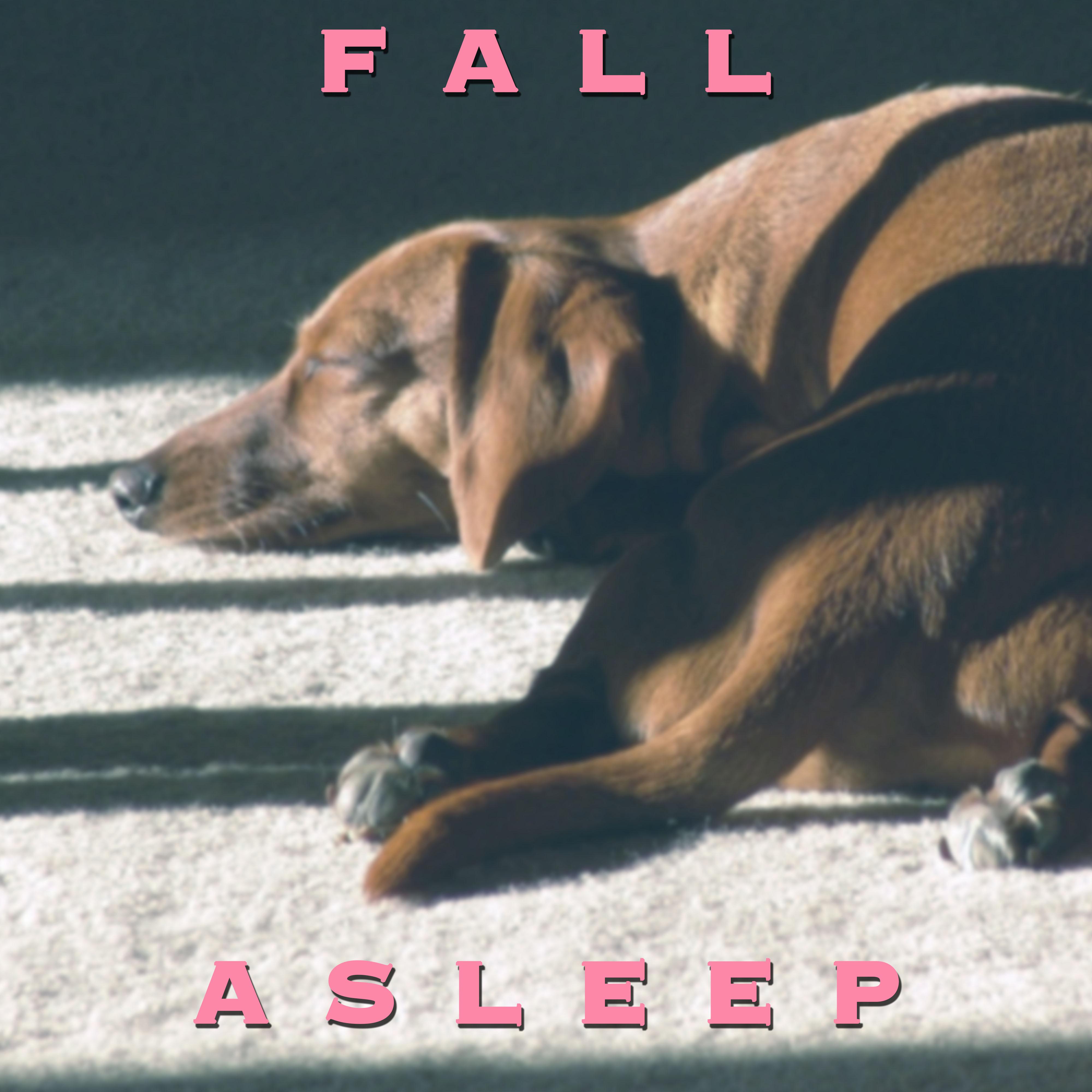 Fall Asleep Music Playlist