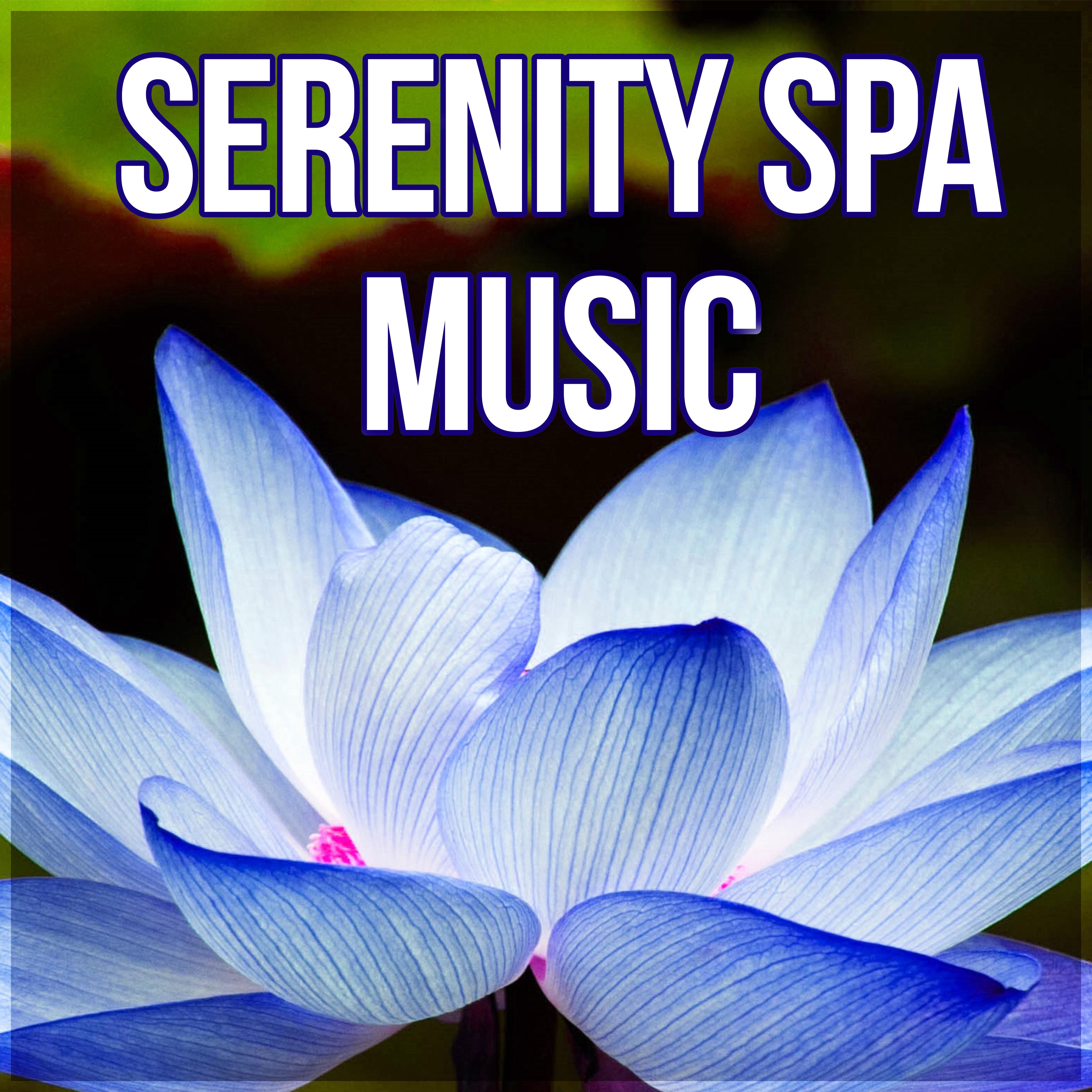Serenity Spa Music - Wellness Music Spa, Music and Pure Nature Sounds for Stress Relief, Slow Music for Yoga, Relaxing and Meditation