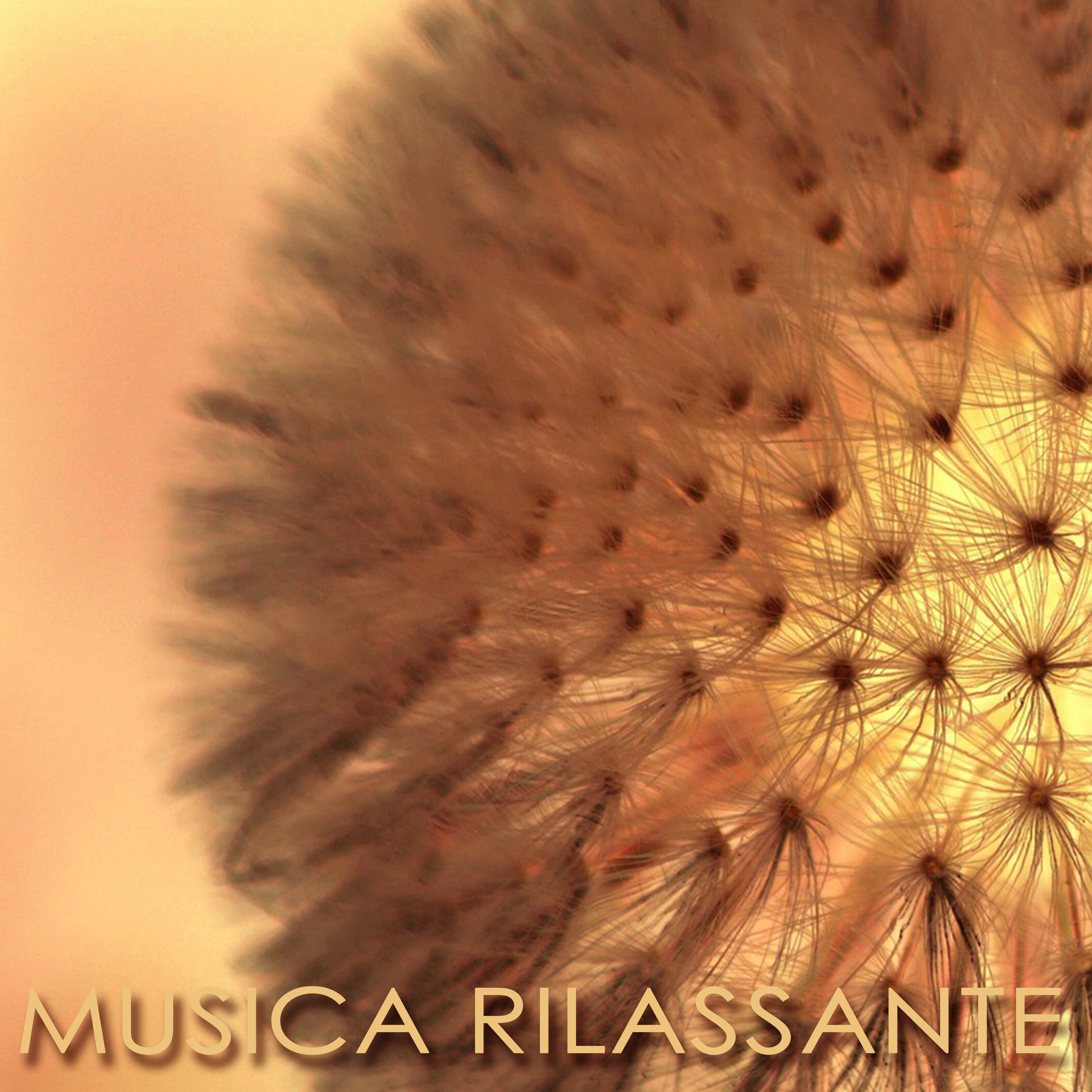 Musica Rilassante – Musica New Age per Meditazione, Relax, Massaggio, Yoga e Rilassamento Profondo