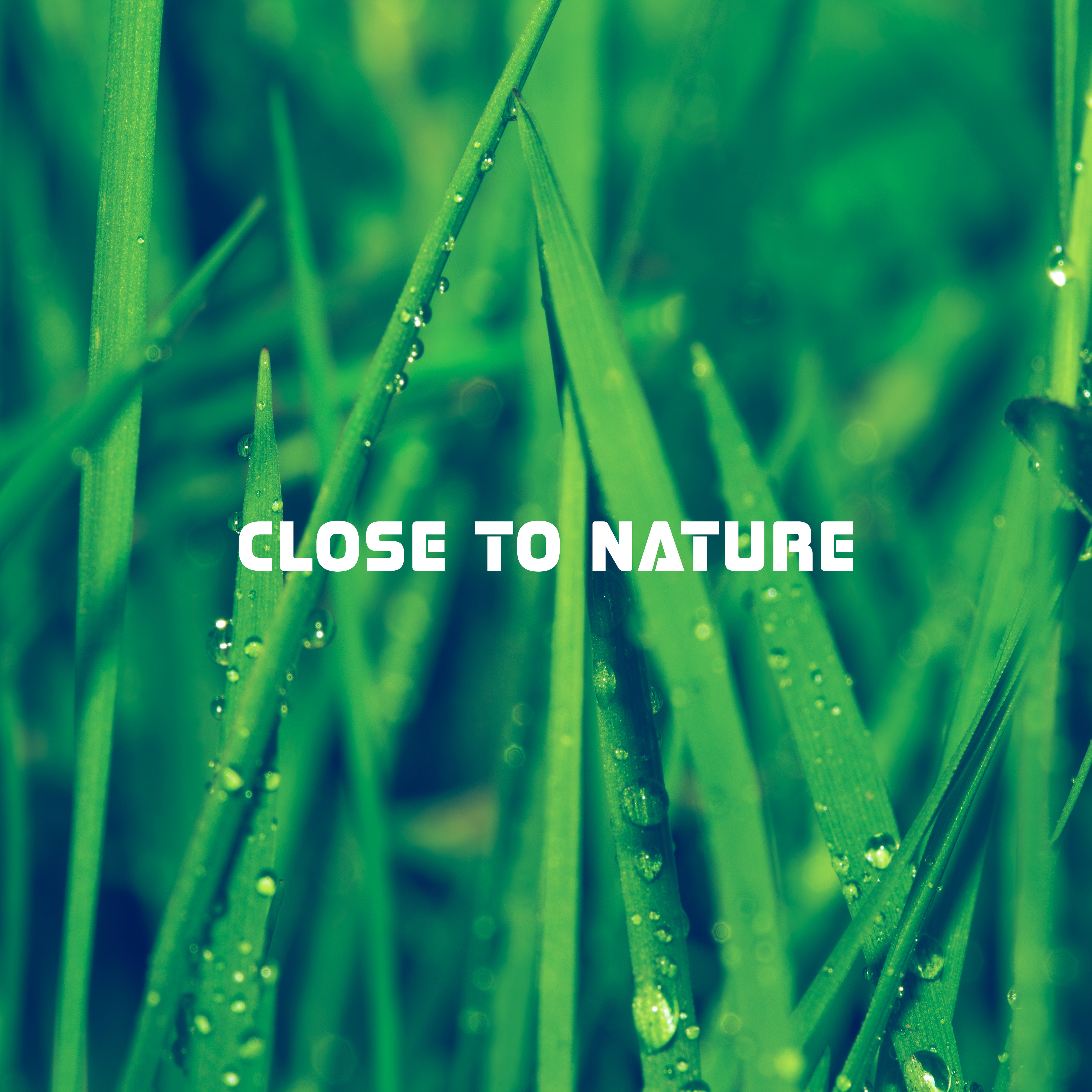 Close to Nature: Music for Meditation and Contemplation, Yoga, Spa, Relaxation and Rest