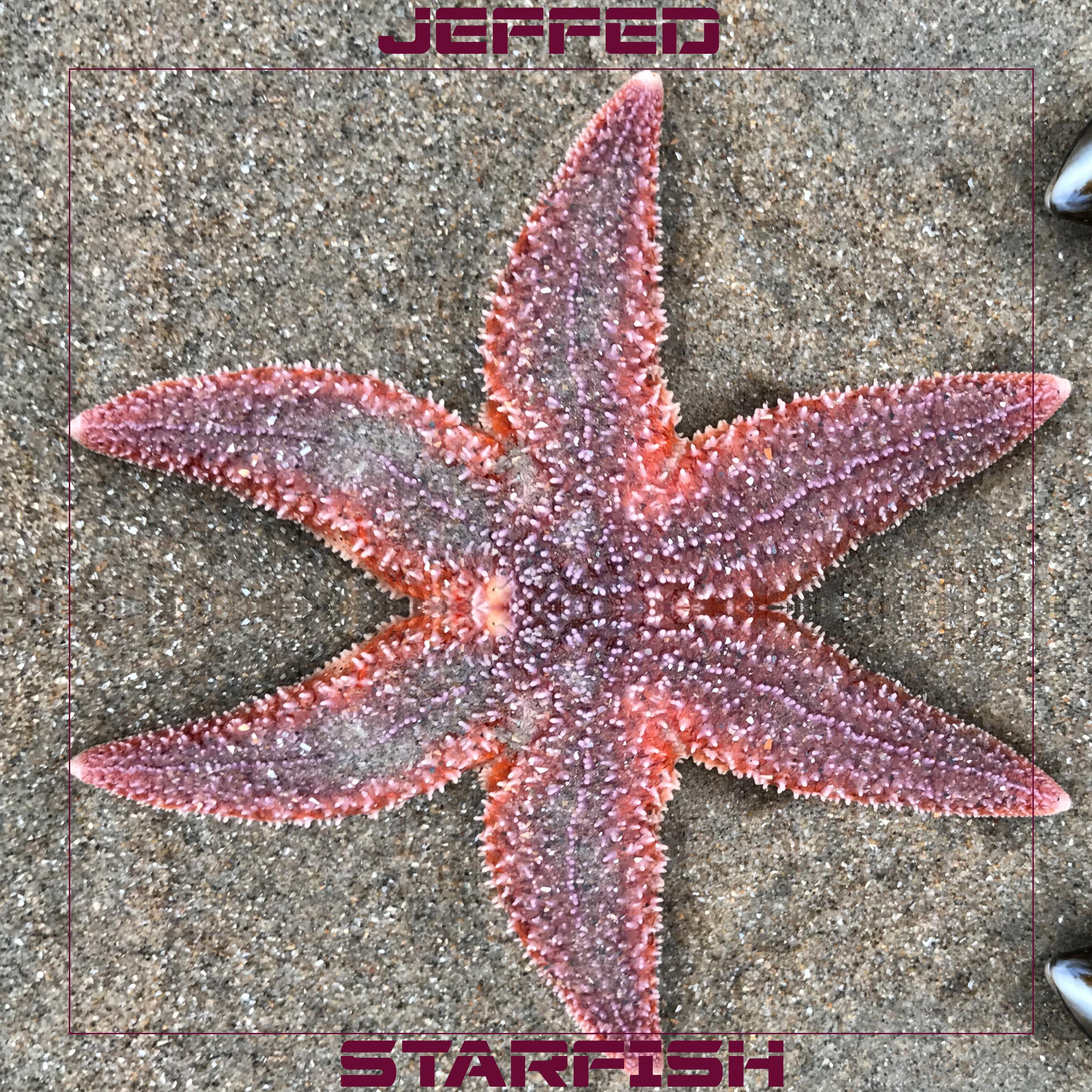 Starfish (original)