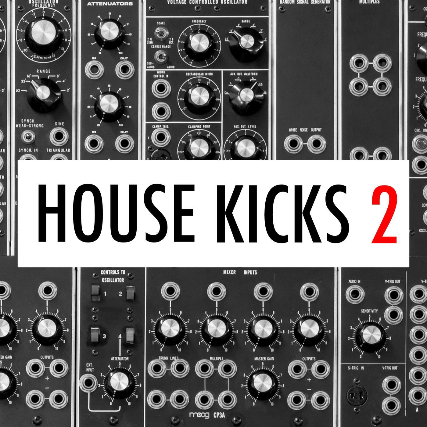 IbzKngs House Kicks 041