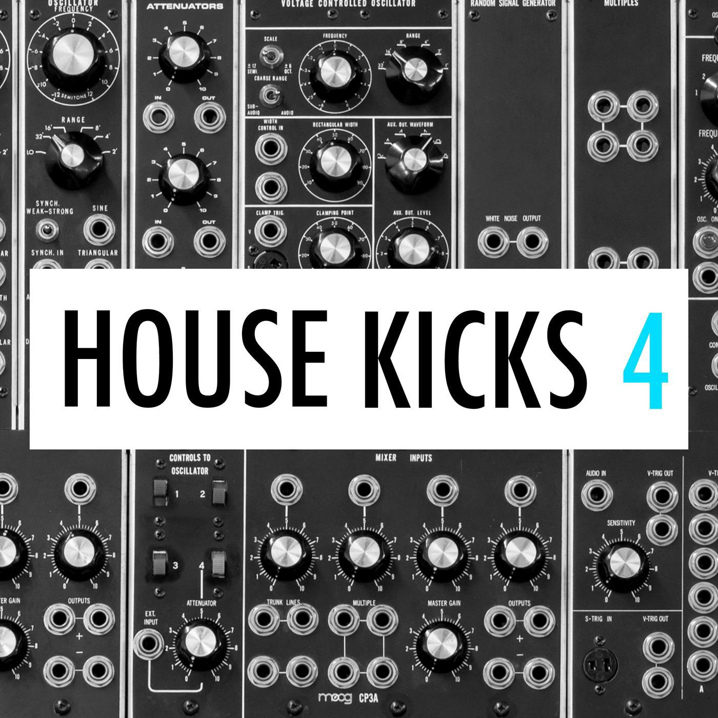 IbzaKngs House Kicks 071