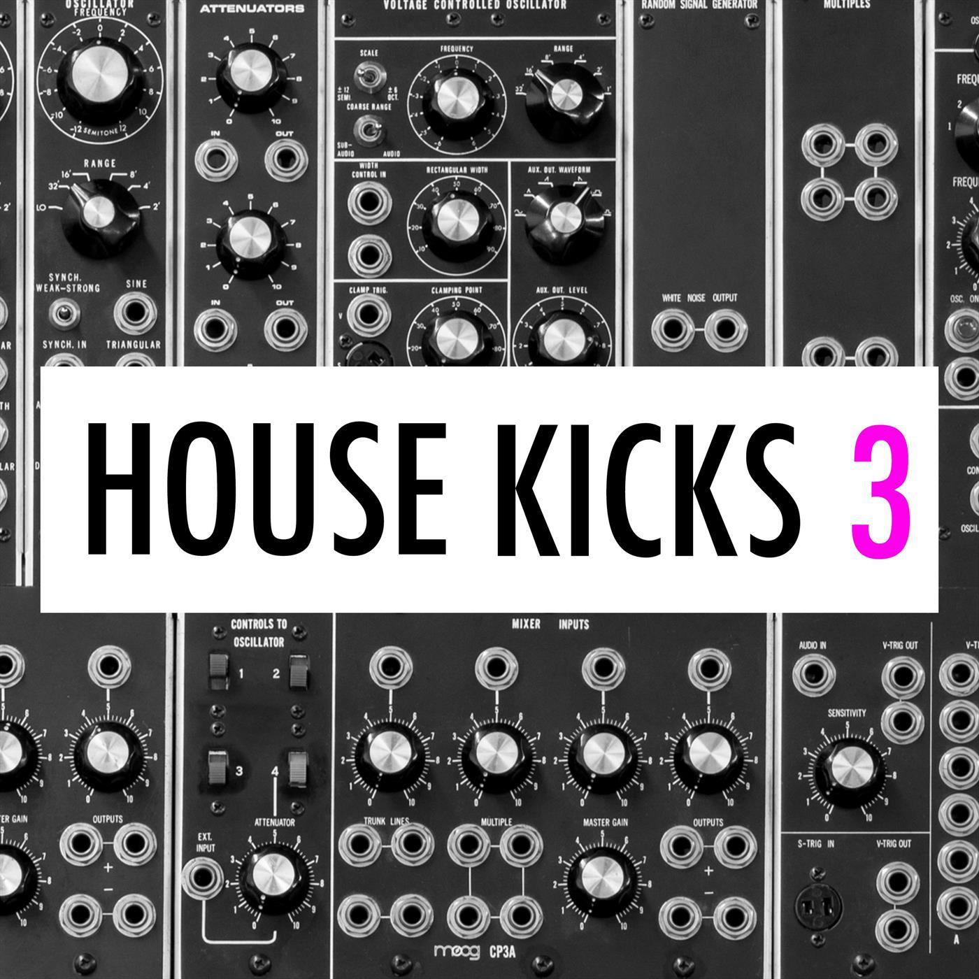 IbzaKngs House Kicks 055