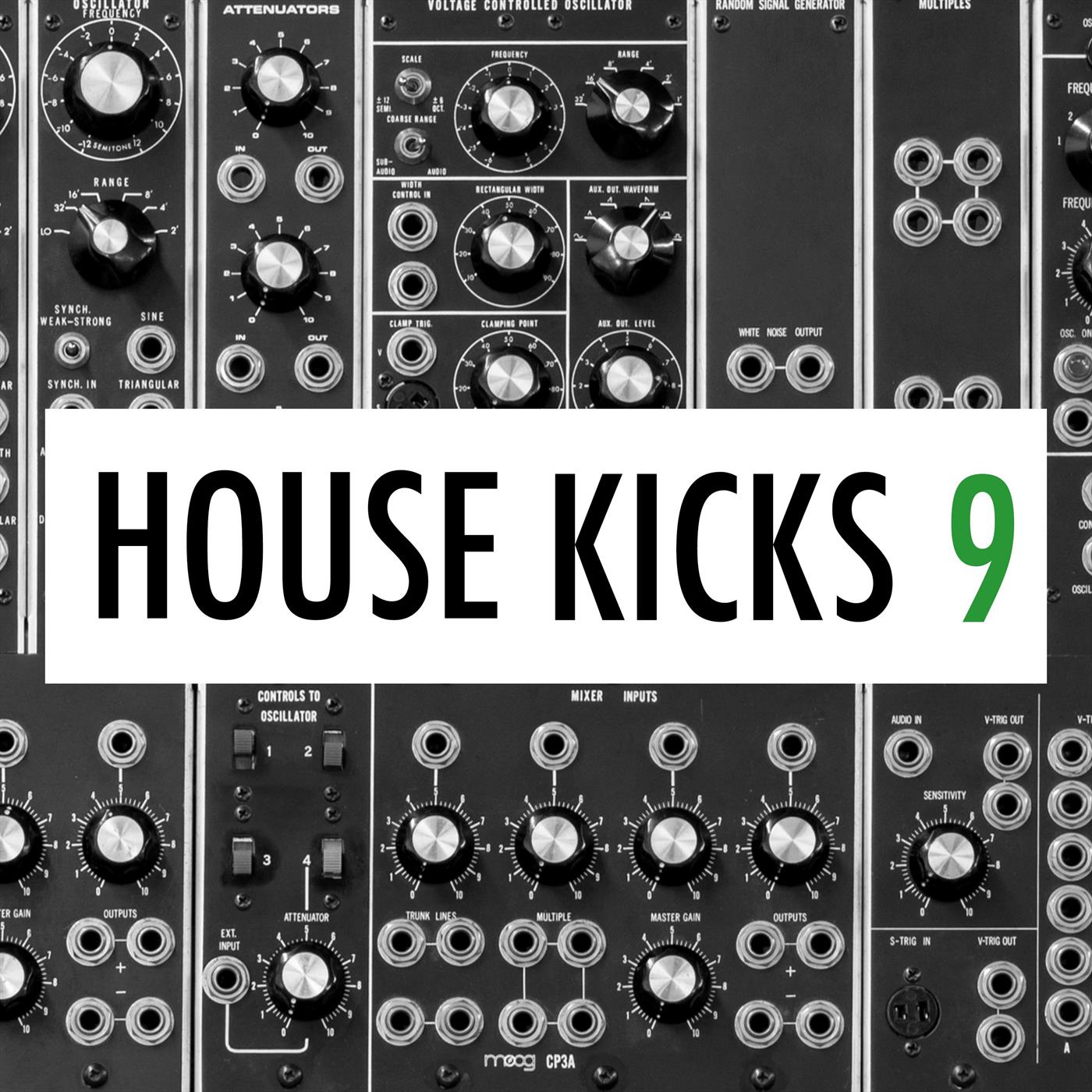 IbzaKngs House Kicks 213