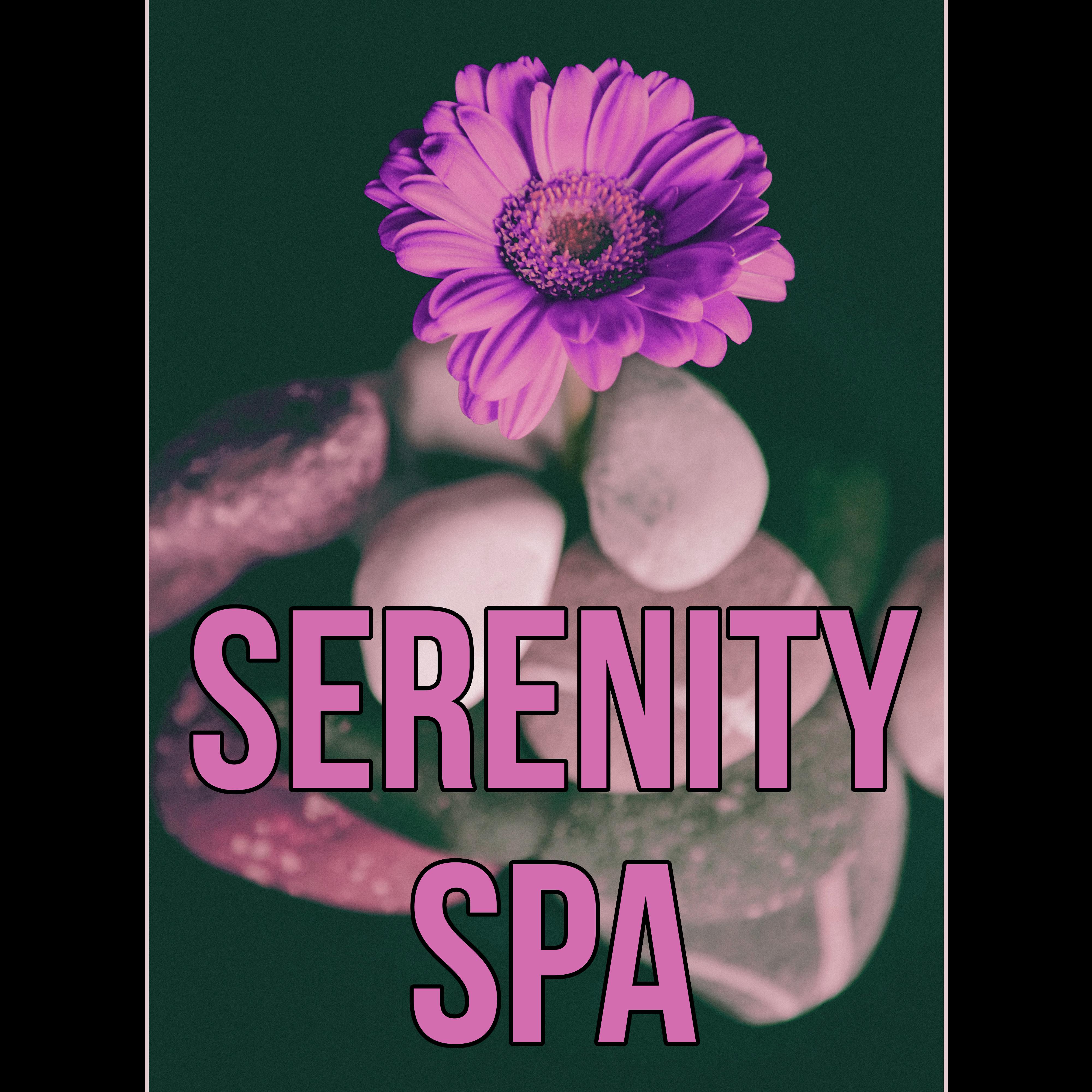 Serenity Spa - Relaxing Ocean Waves Sounds, Calming Quiet Nature Sounds, White Noise, Insomnia Cure