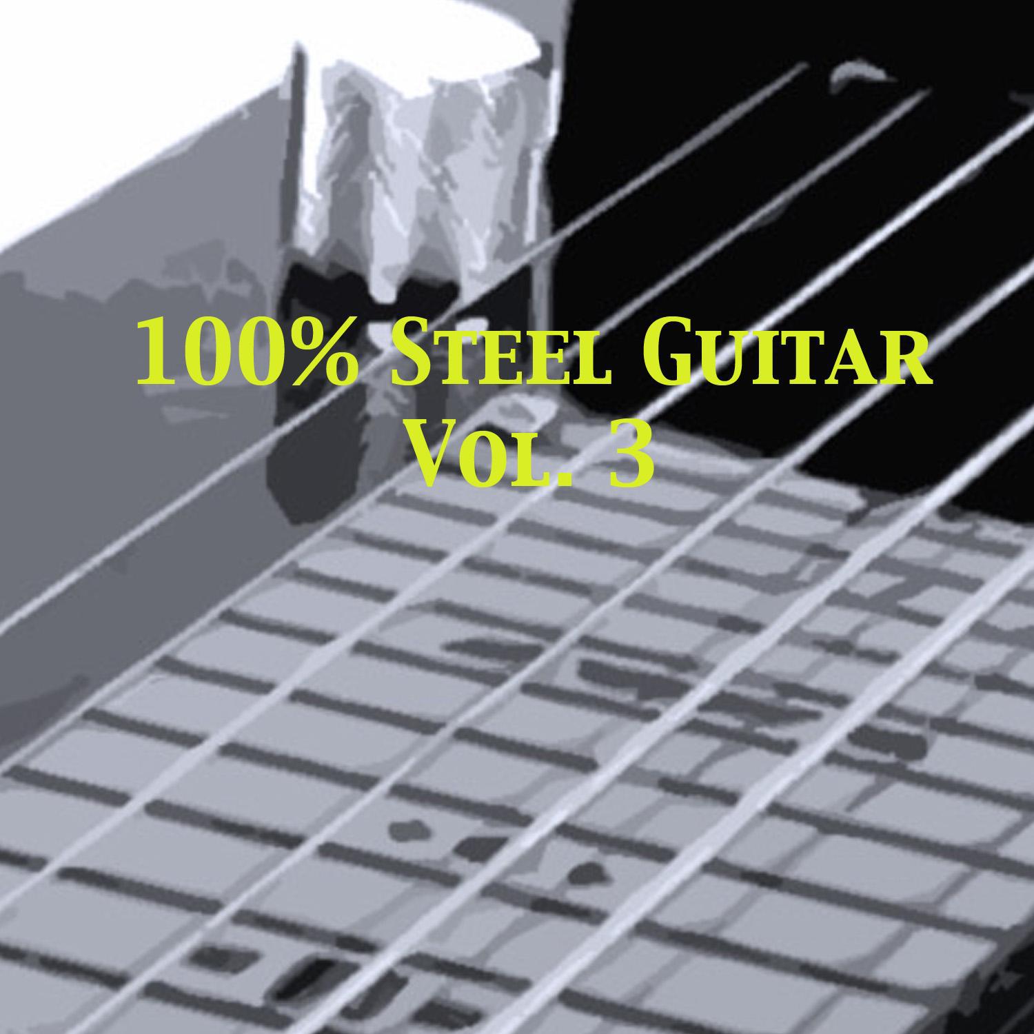 100% Steel Guitar, Vol. 3