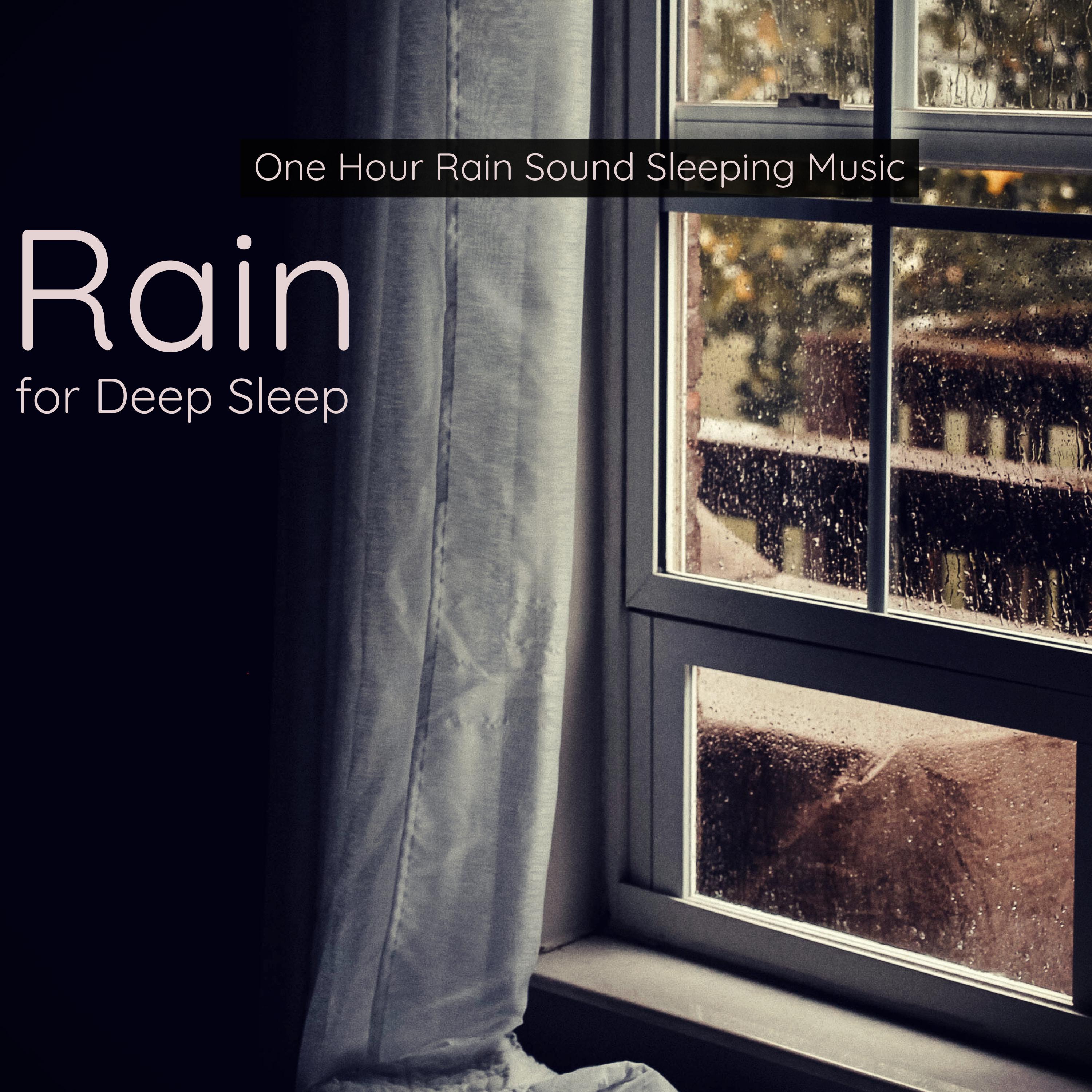 Rain for Deep Sleep - One Hour Rain Sound Sleeping Music
