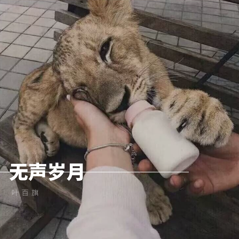 就在今晚告别