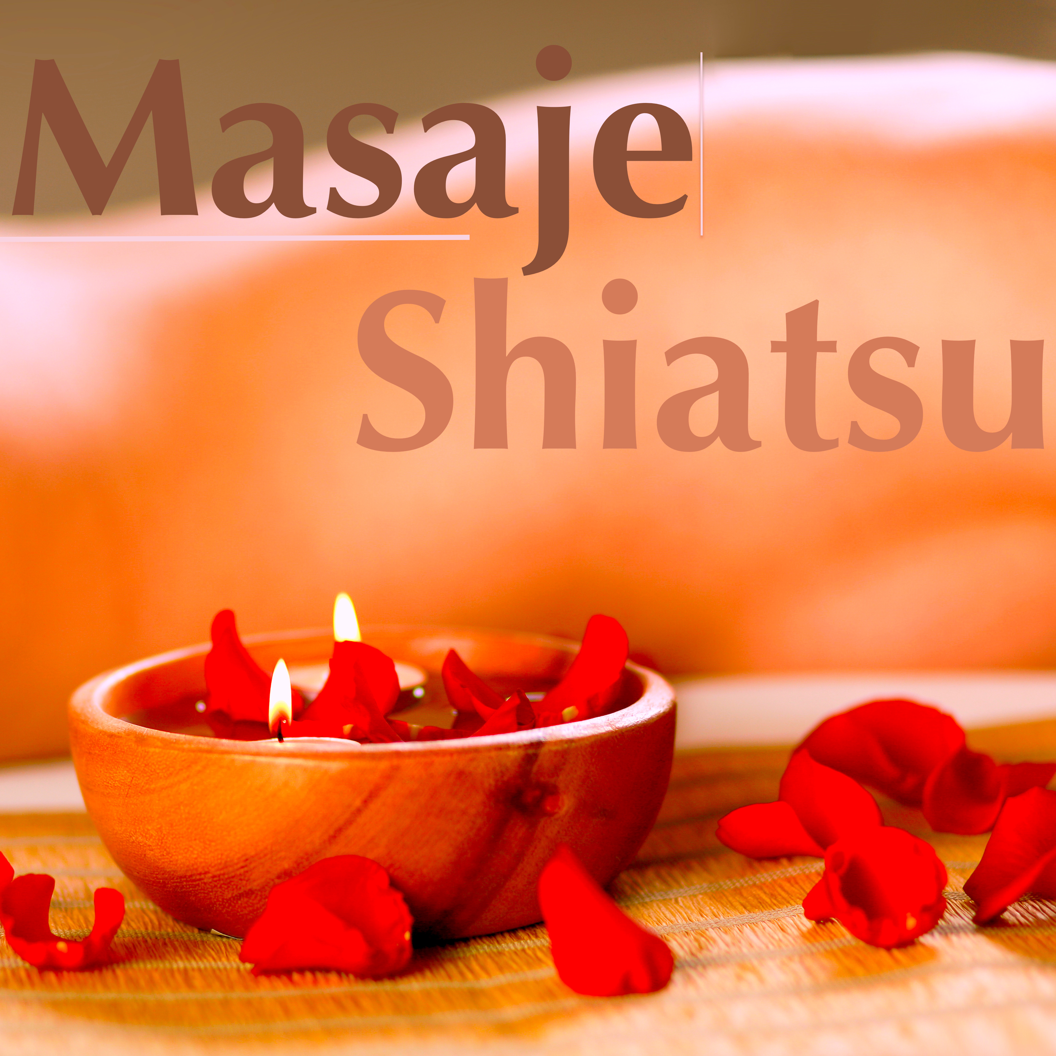 Masaje Shiatsu: Sonidos de la Naturaleza para Relajarse y Descansar después de un Día Largo
